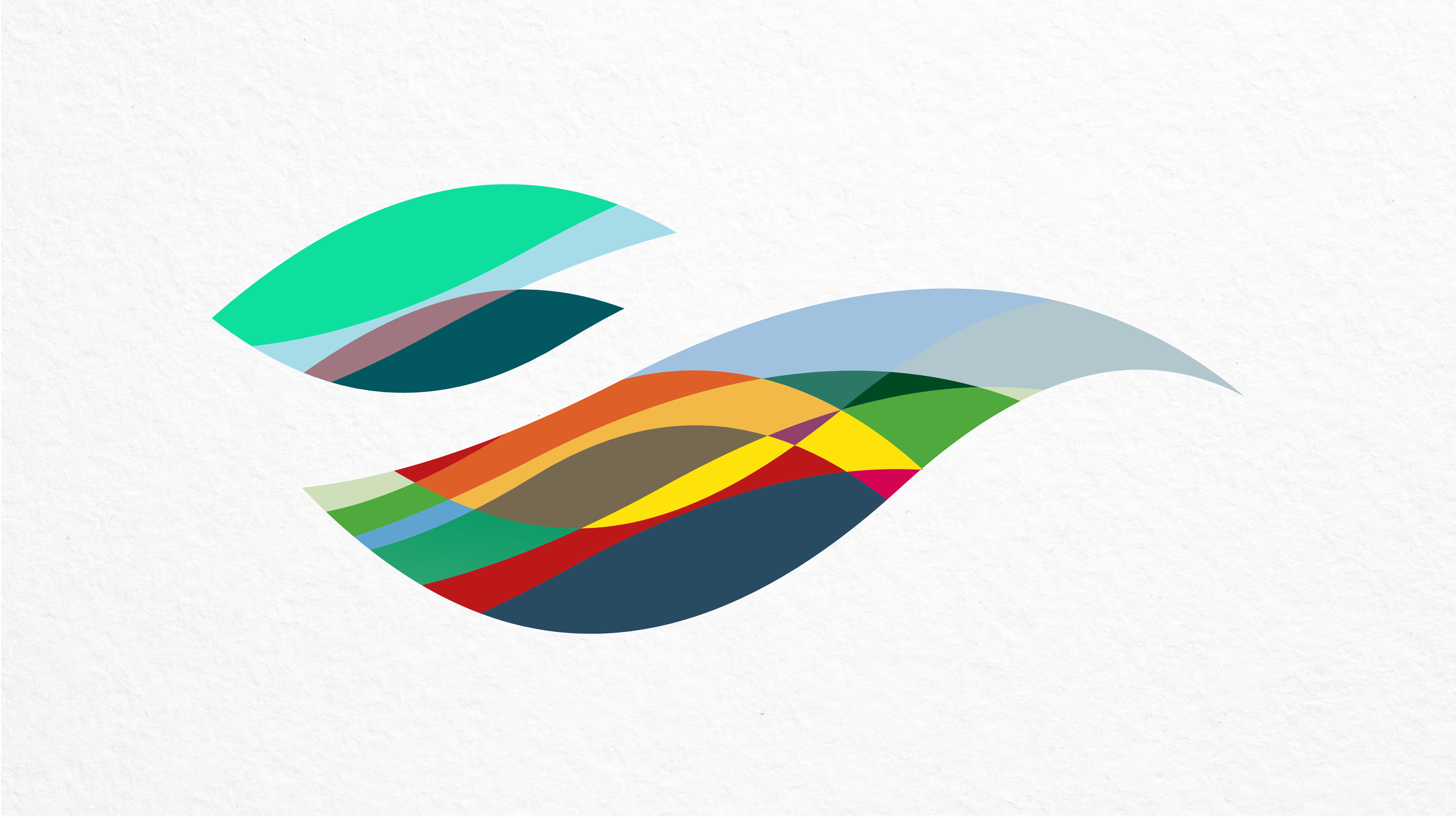 roywedemadesign_womens_ehf_euro_2020_dev-70.png