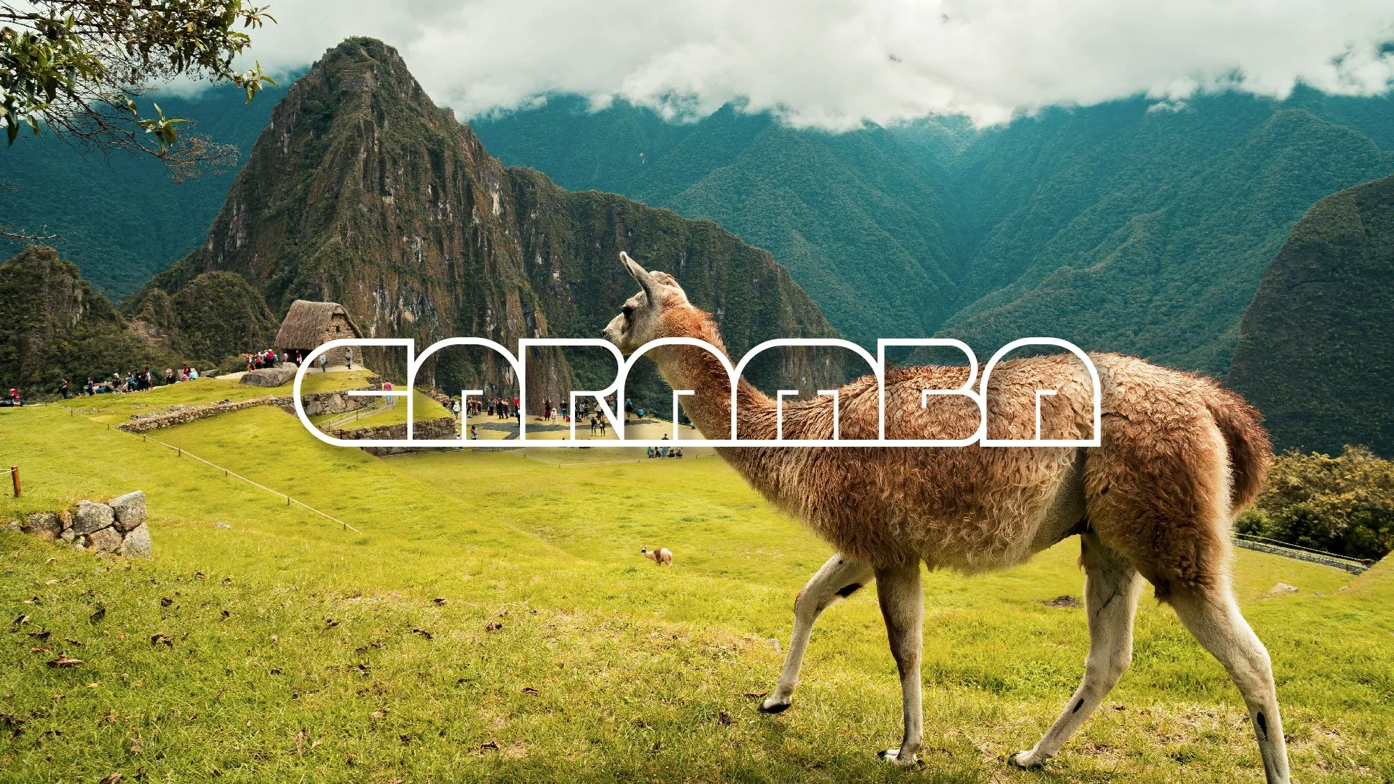 roywedemadesign_caramba_05-60.jpg