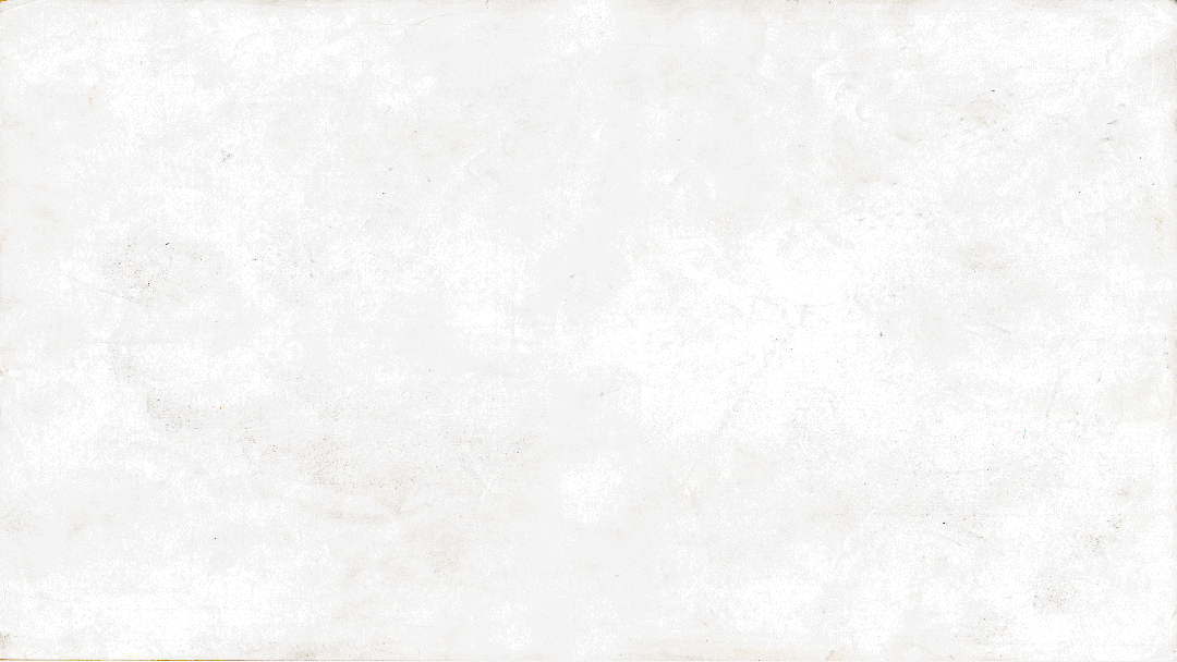 roywedemadesign_Baden_Racing_04.gif