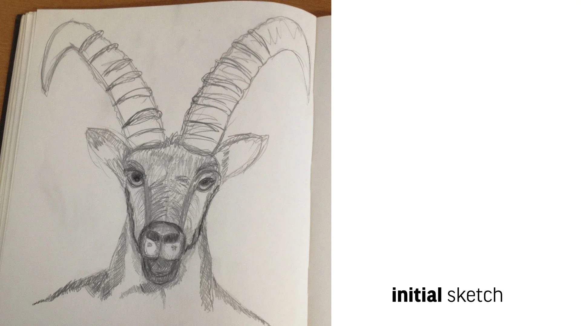01_moritz_Animation.001.jpeg