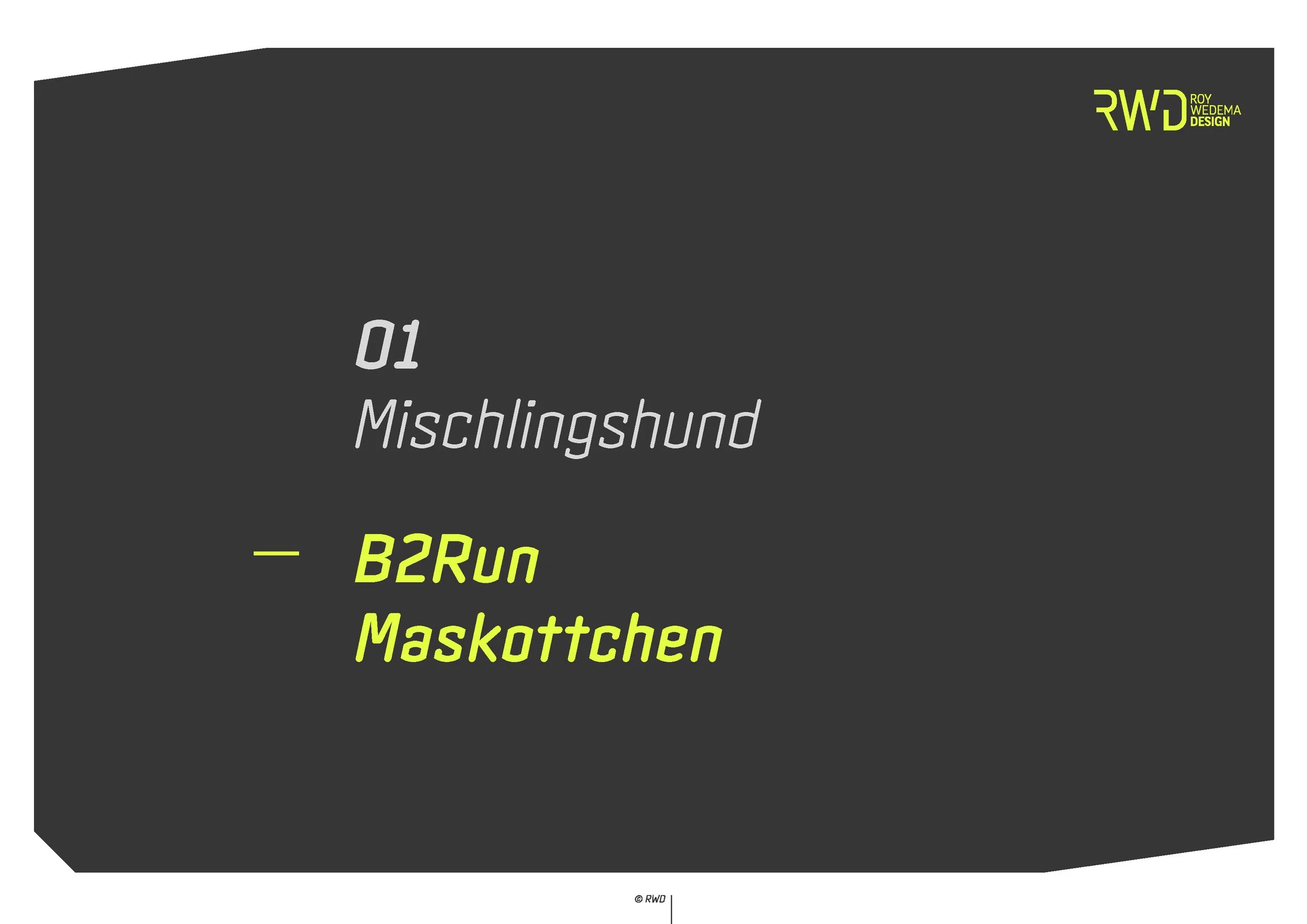 roywedemadesign_buddy_b2run_Seite_2.jpg