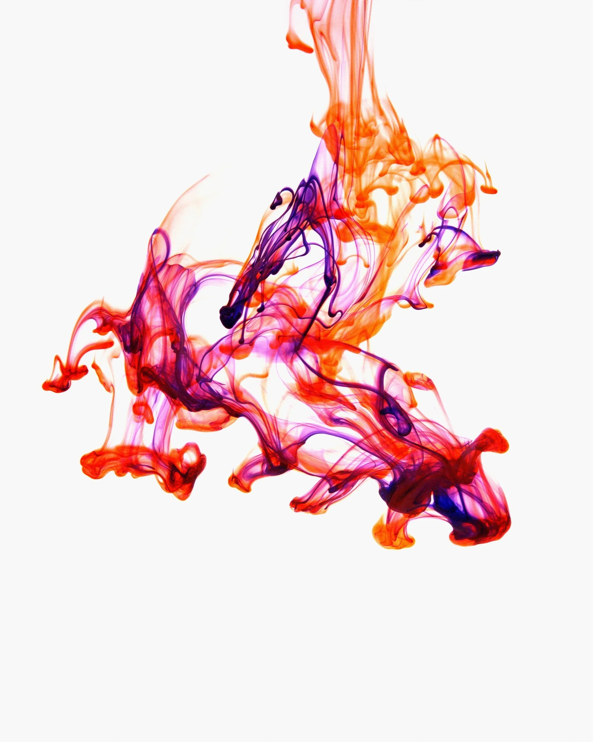 Fine art photograph of ink in water. Orange, purple, magenta, blue, white background