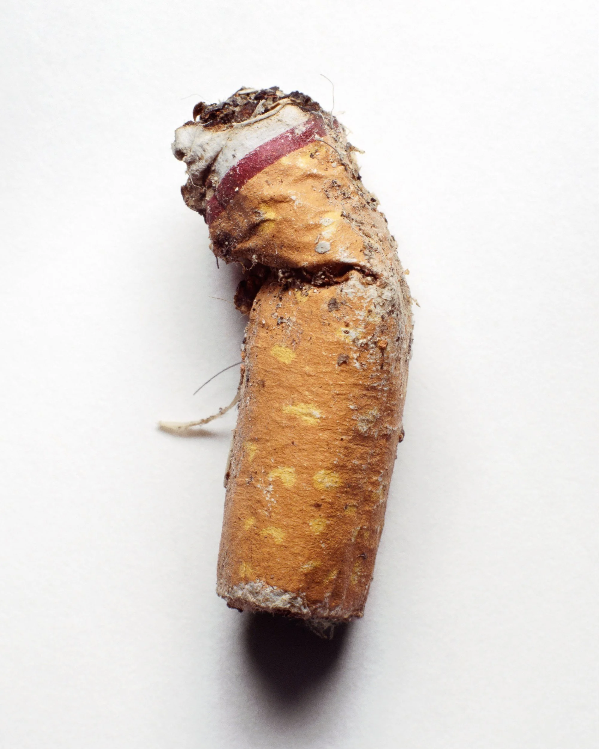 Fine art photograph of cigarette butt found in Williamsburg/Brooklyn