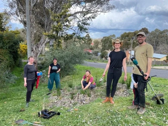 Wilderhoods naturestip planting continues in 2026.