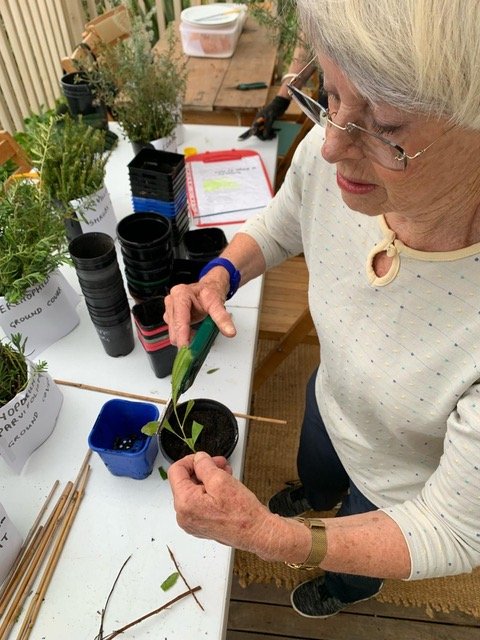 Wilderhoods propagation workshop. Neighbour-to-neighbour learning.