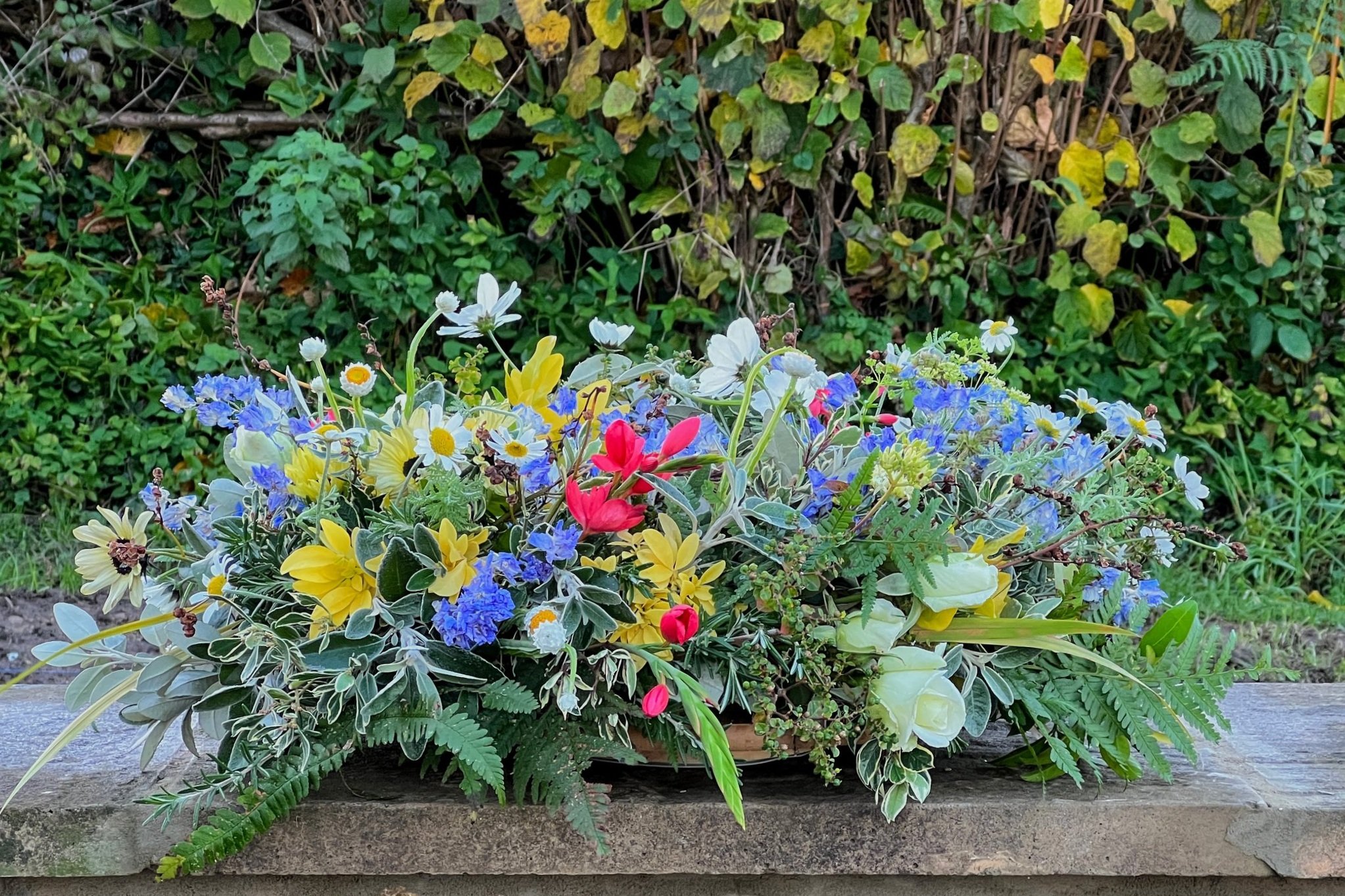 Garden and Flowers