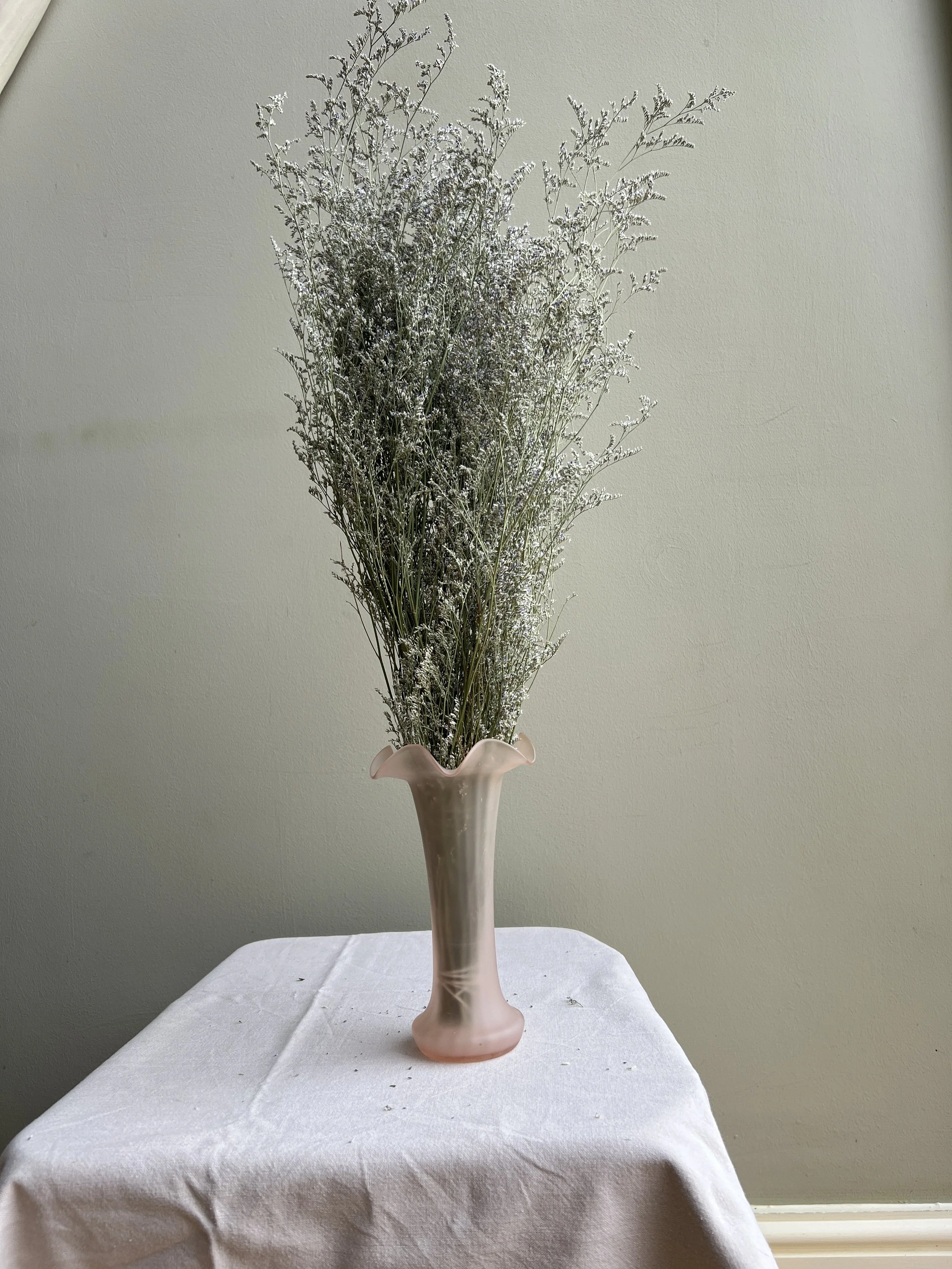 Dried grass panicum frosted explosion — Cotswold Country Flowers