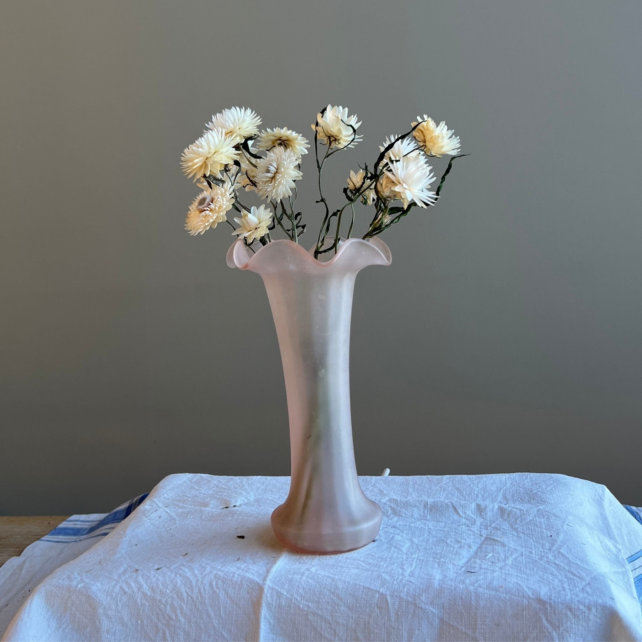 dried-helichrysum-white-with-vase.jpg