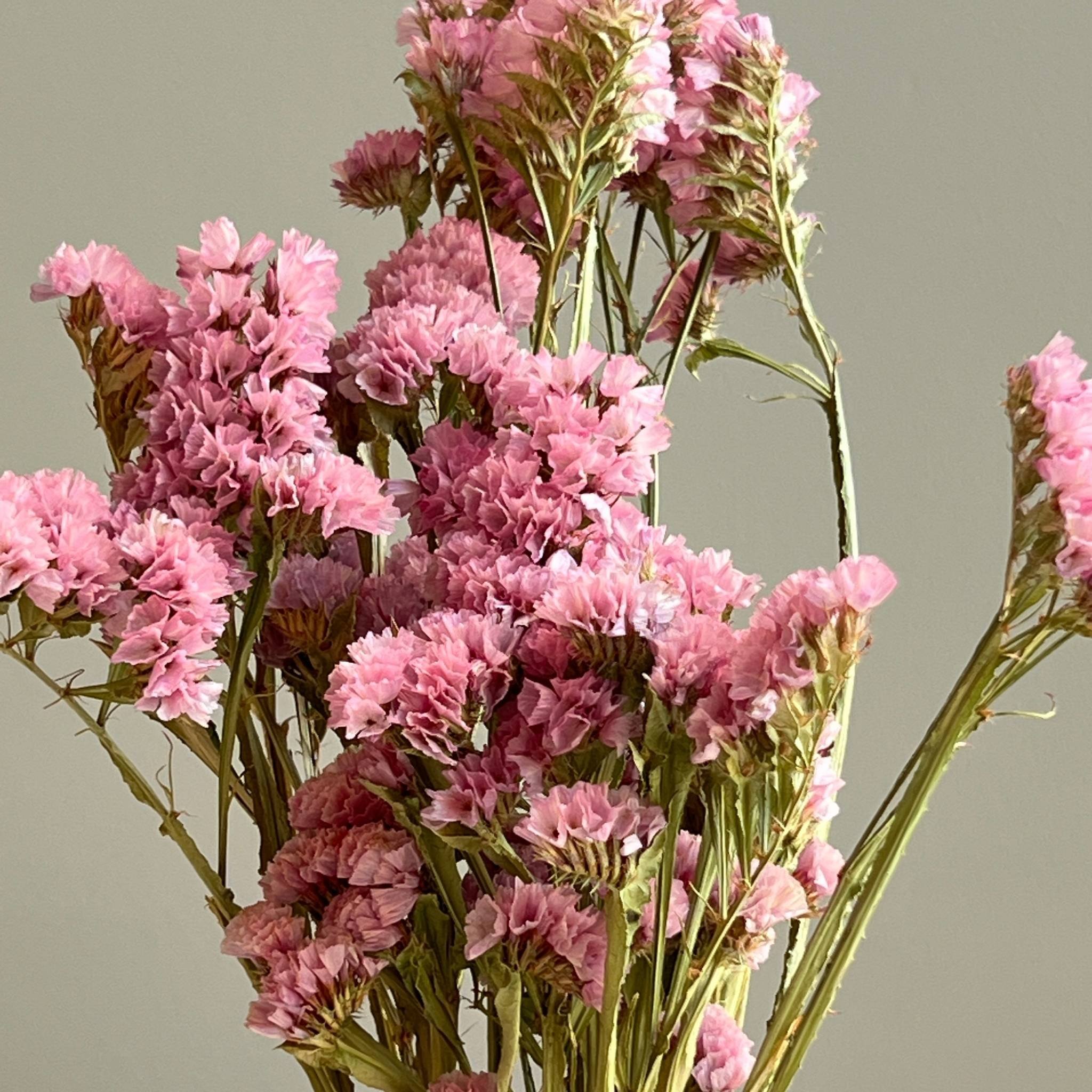 pink-dried-statice.jpg