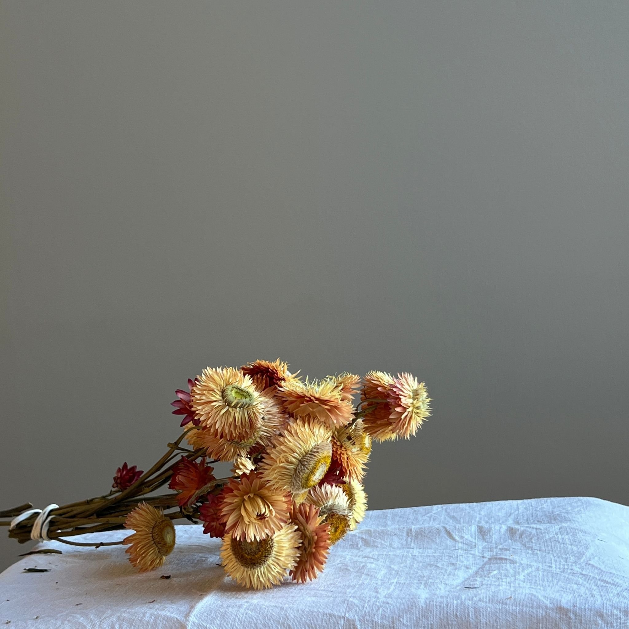 bunch-dried -apricot-helichrysum.jpg