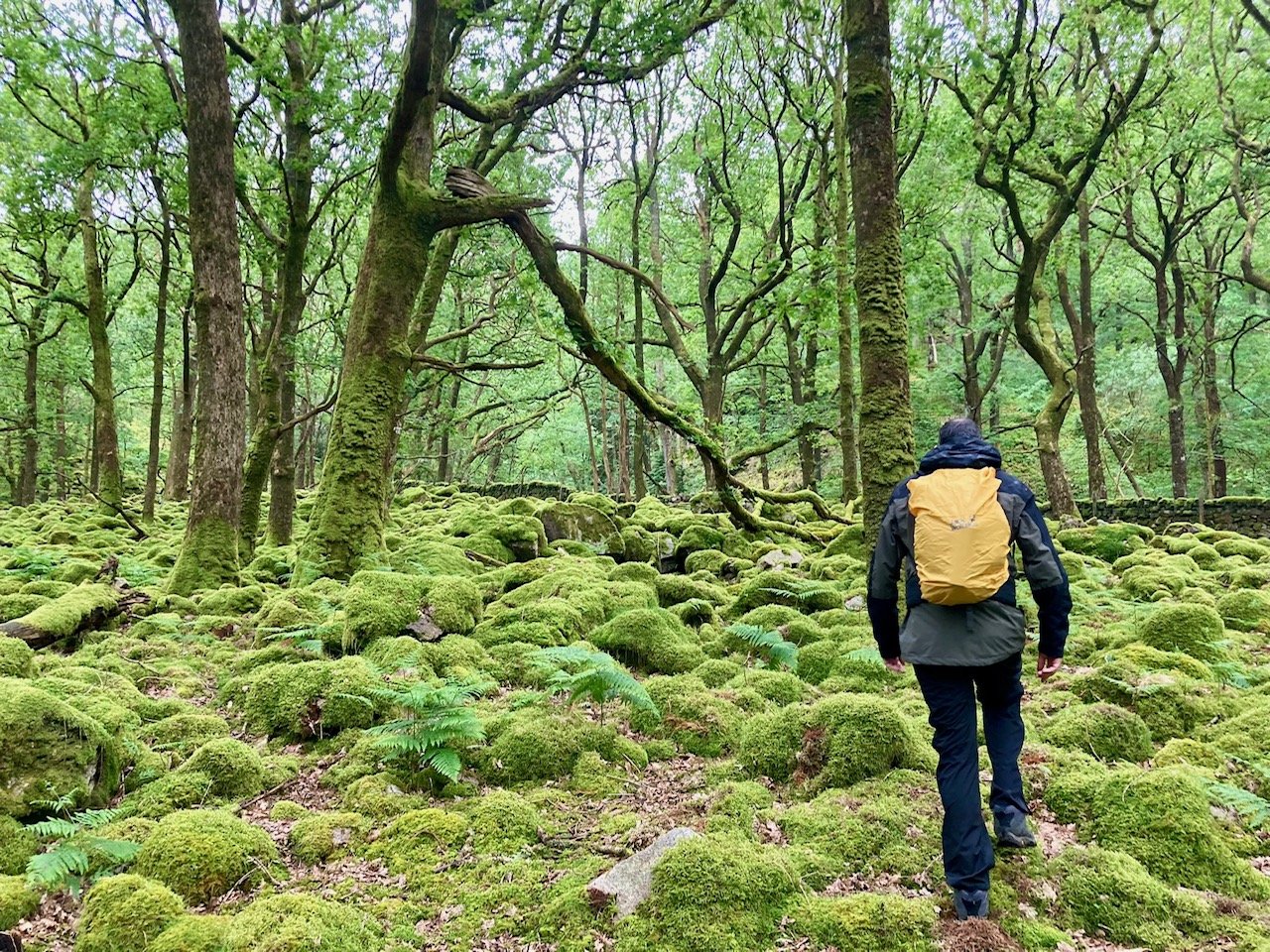 Eskdale 2.jpeg