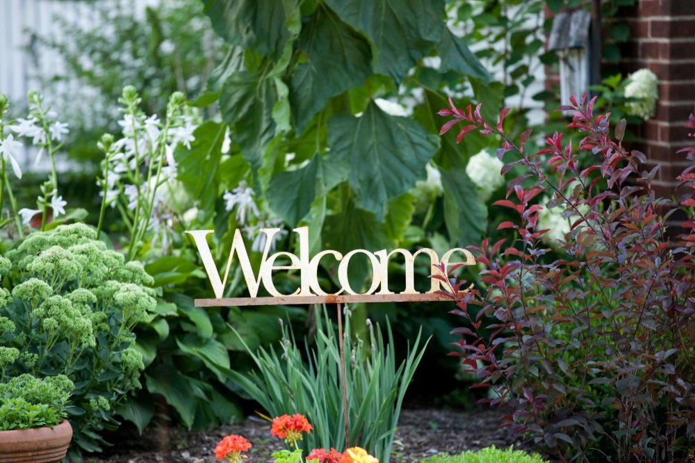ProAction HR welcomes new clients from Right HR