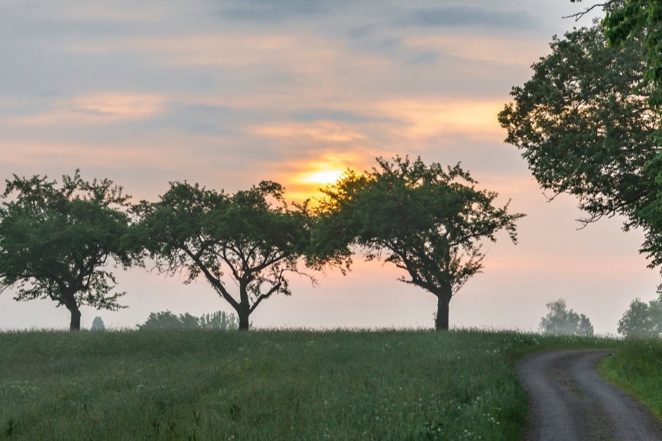 The business case for outplacement