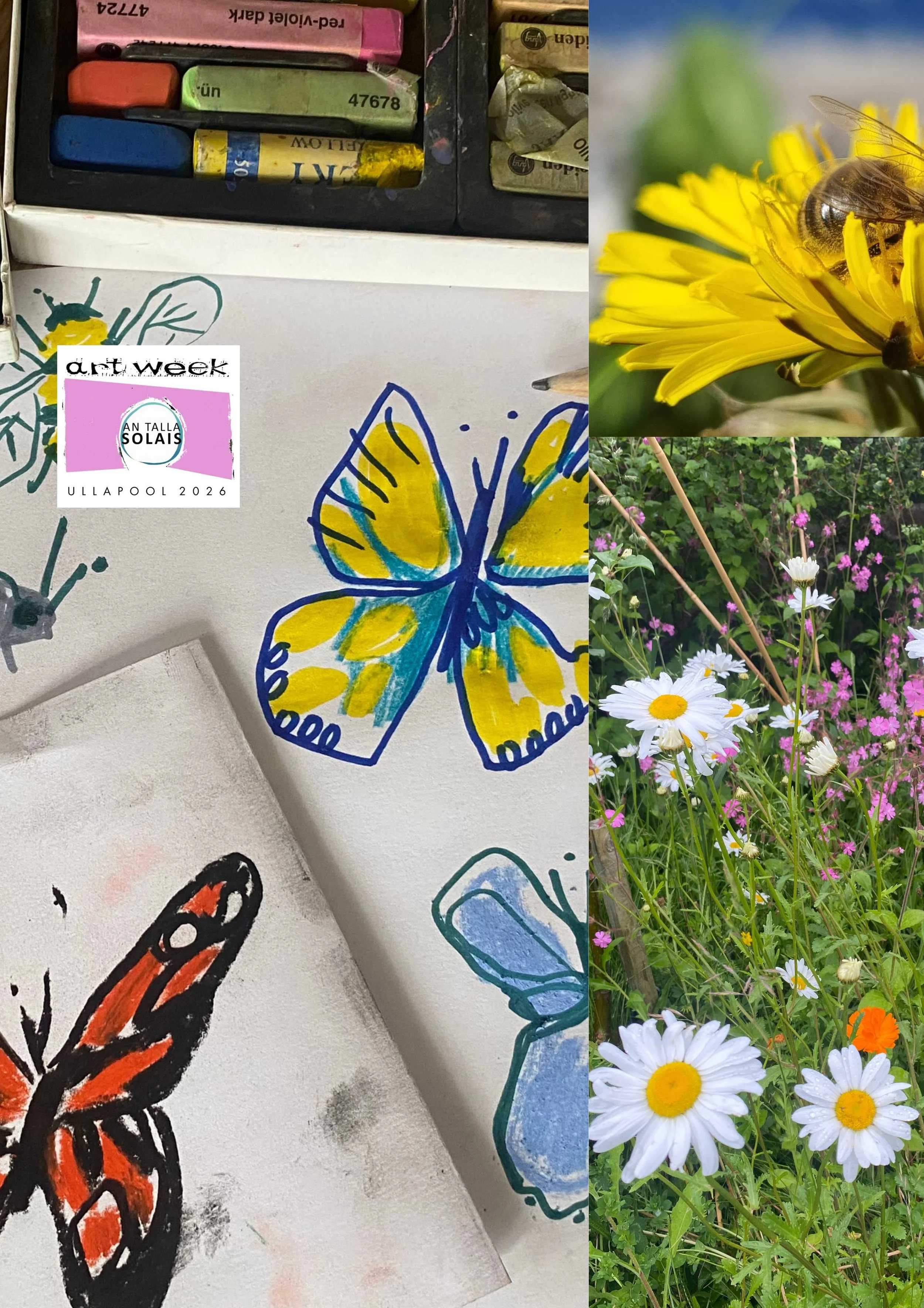 ART WEEK 2026: Drop-in, Insect Survey and Draw