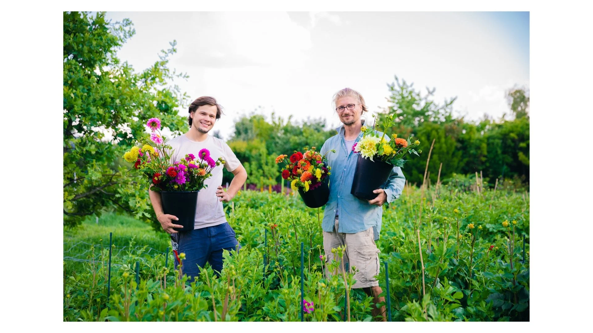 Zwei Männer auf einem grünen Gartenareal mit bunten Blumen, die in Töpfen gehalten werden, beim Pflanzen oder Ernten.