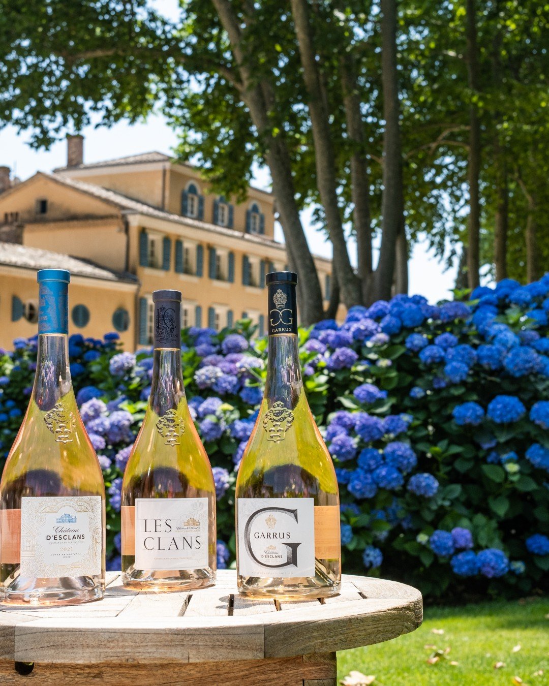 Happy National Ros&eacute; Day 💗 

This month, get in the spirit with Ros&eacute; Revery: a Ch&acirc;teau d&rsquo;Esclans pairing dinner on June 26th. Savor four expertly paired courses&mdash;from vibrant openers to savory mains and a beautifully ba