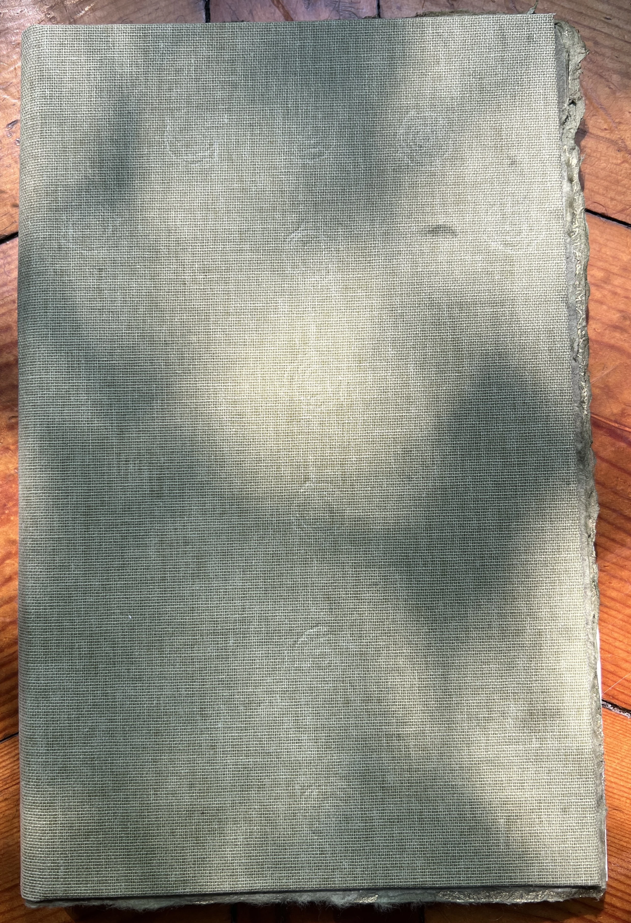 MeadowsweetBookCover.jpg