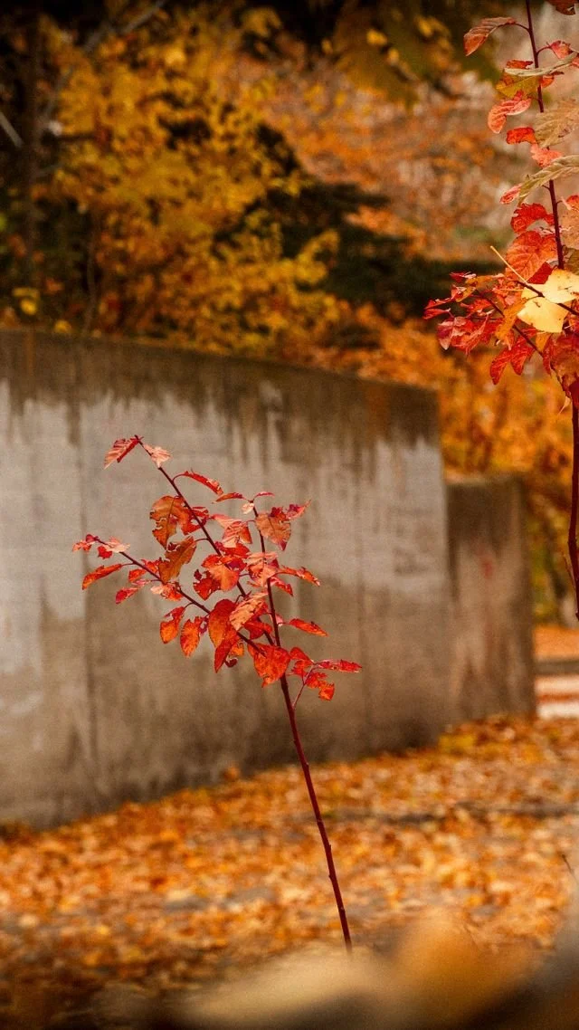 Sad Summer Is Over? How to Feel Happier as Fall Begins