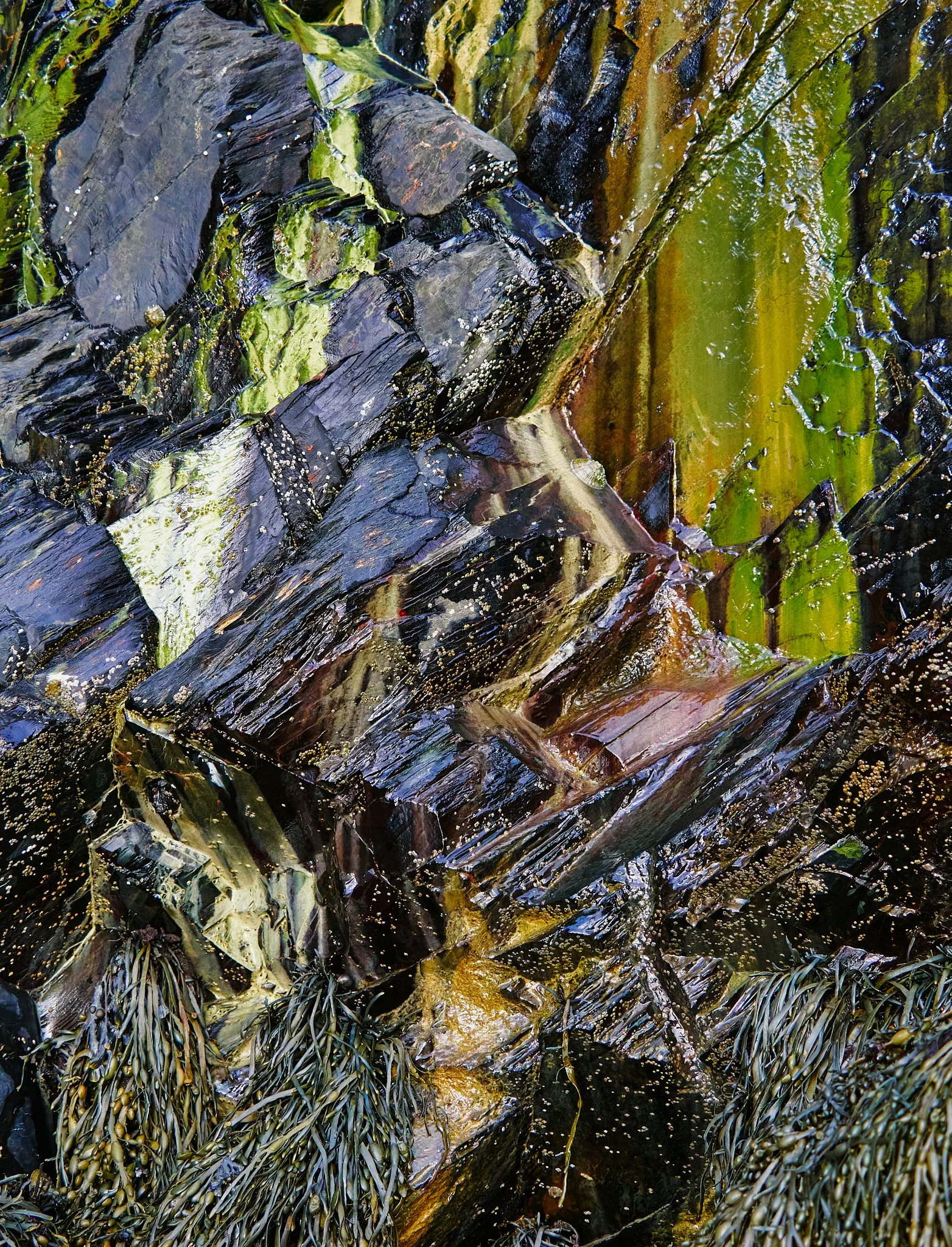 Blue Rocks Web 2048 long edge 13.jpg