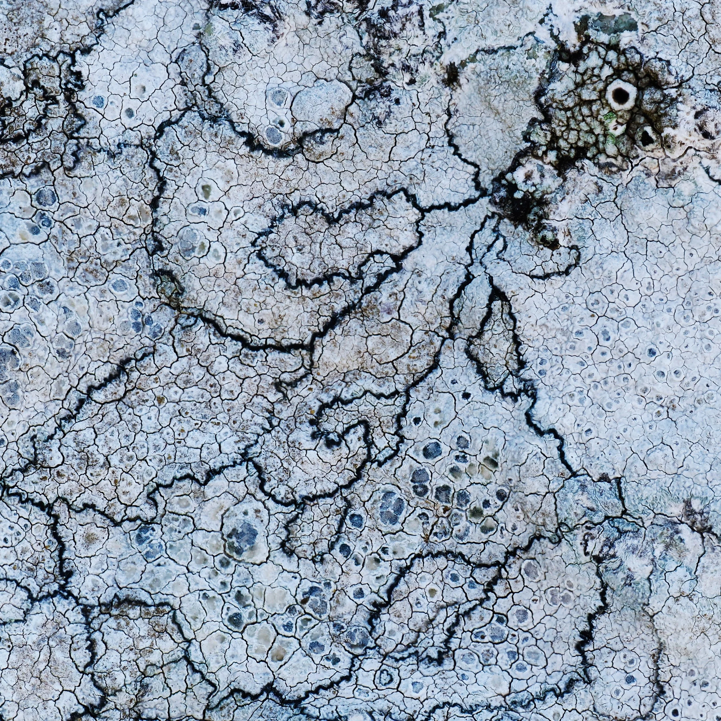 To be or not to be… AI