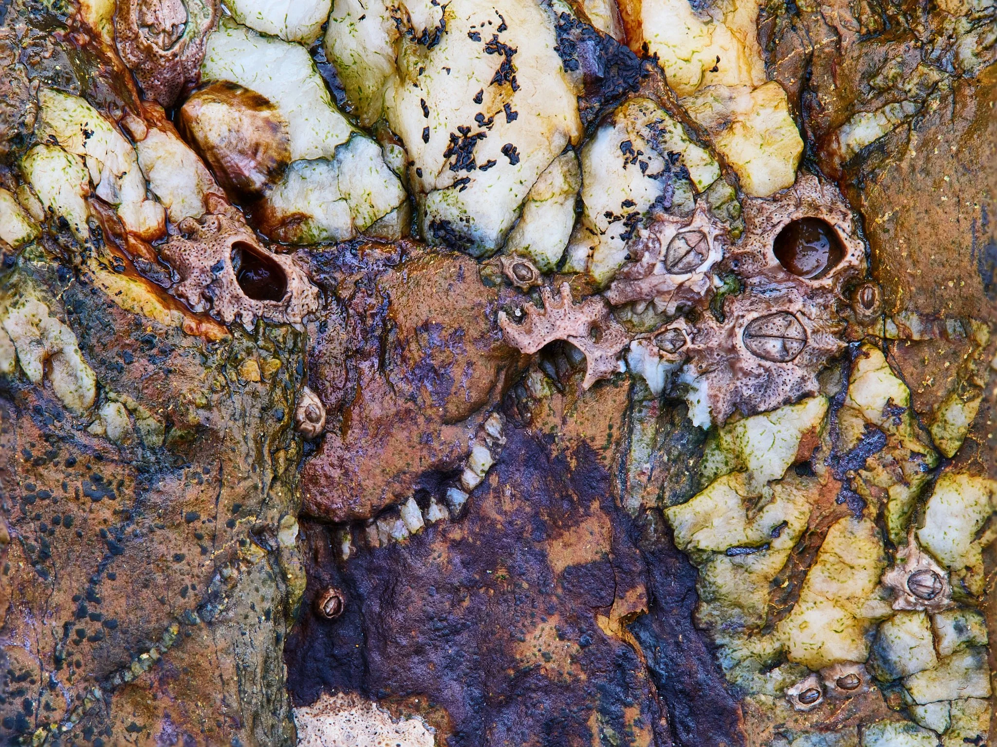 Blue Rocks Web 2048 long edge 5.jpg