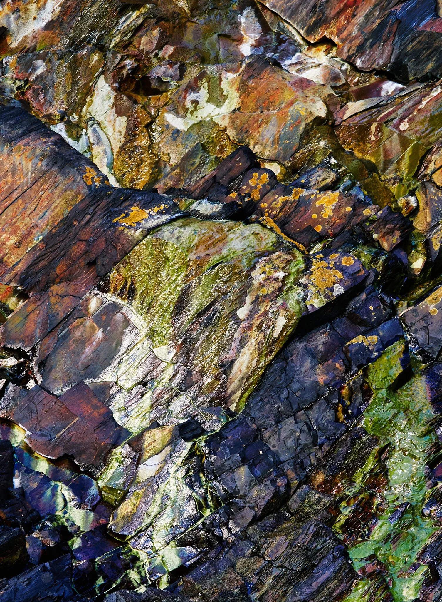 Blue Rocks Web 2048 long edge 15.jpg