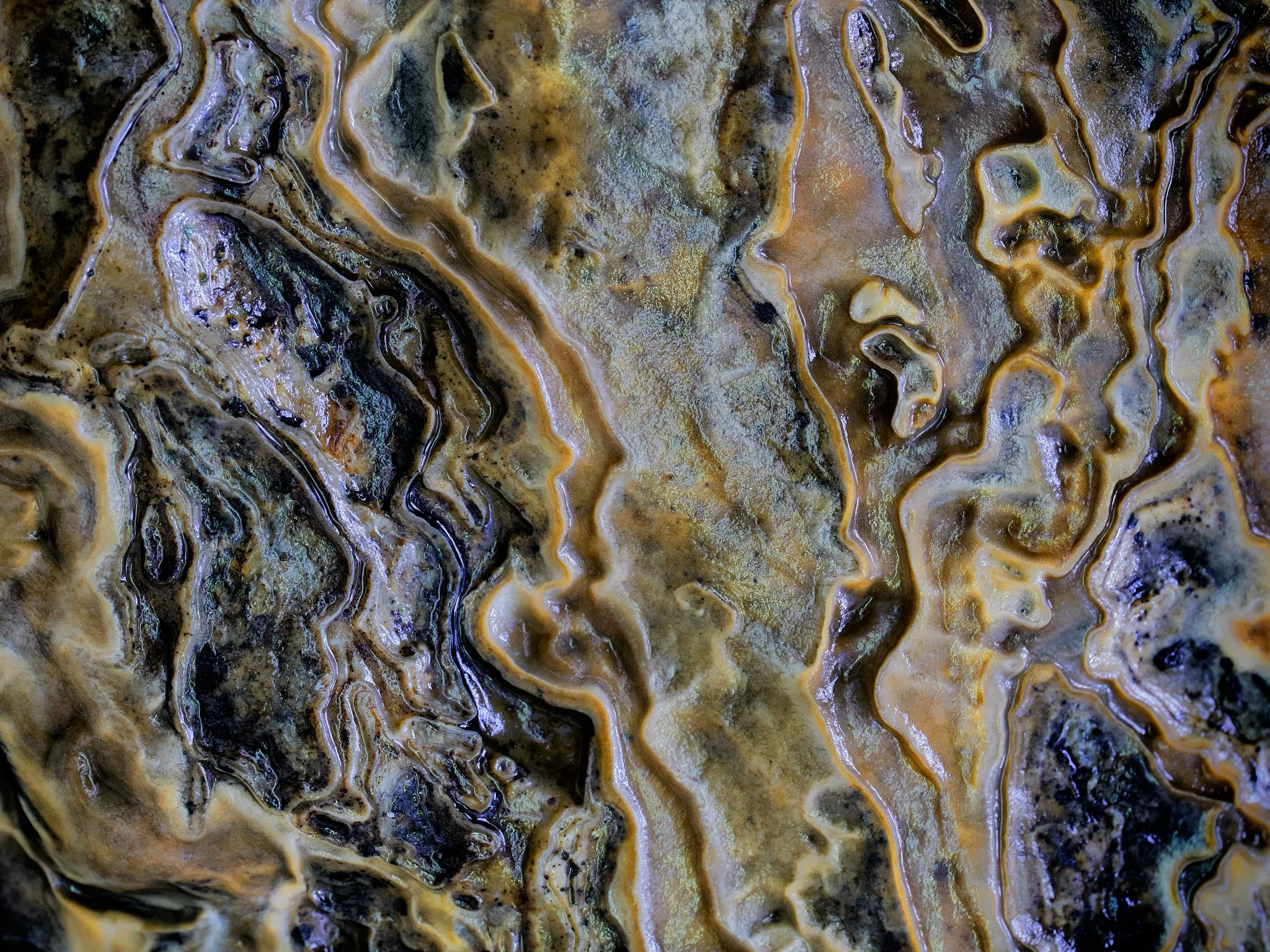 Rocks Web 2048 long edge 2.jpg