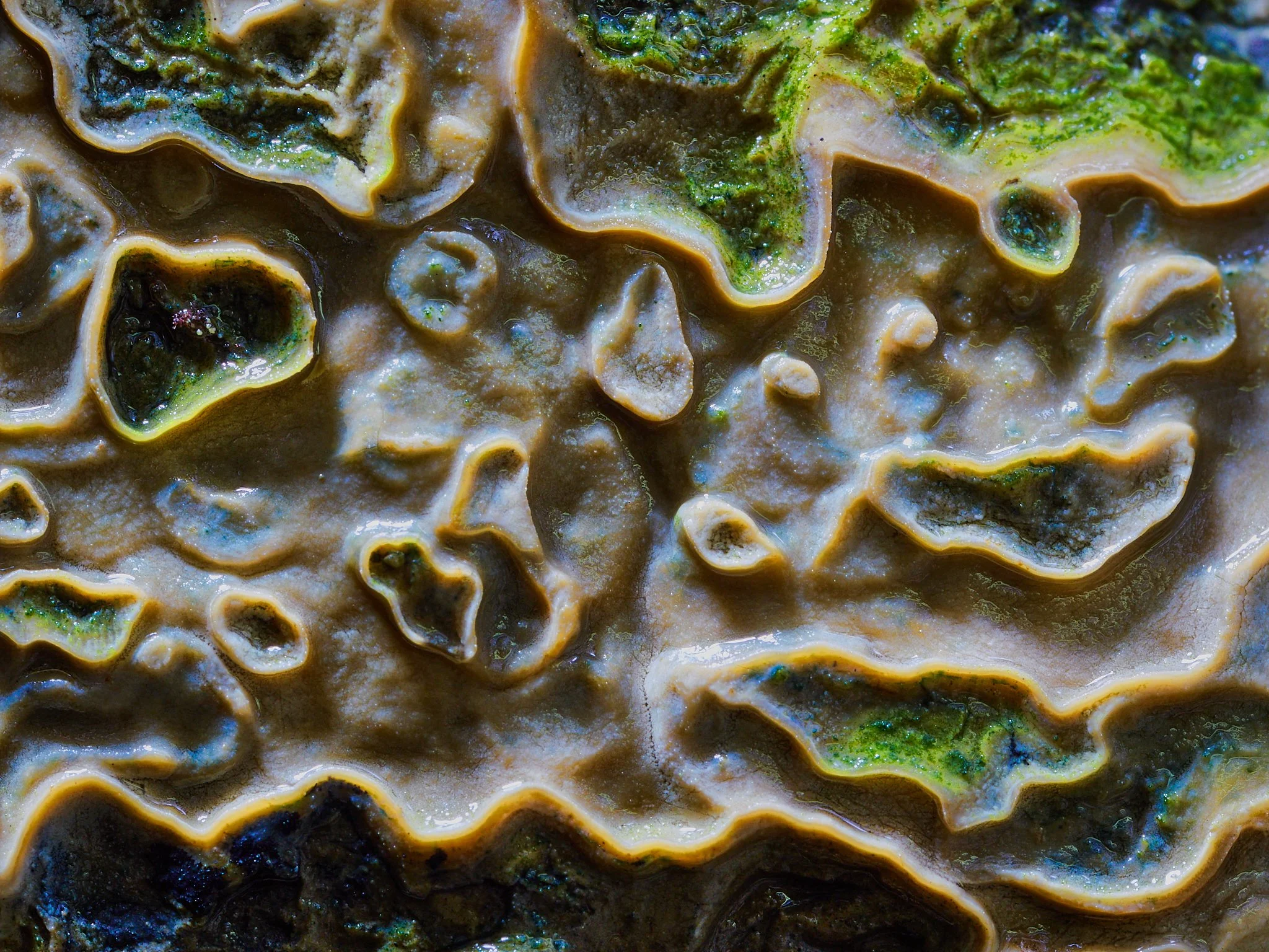 Rocks Web 2048 long edge 6.jpg