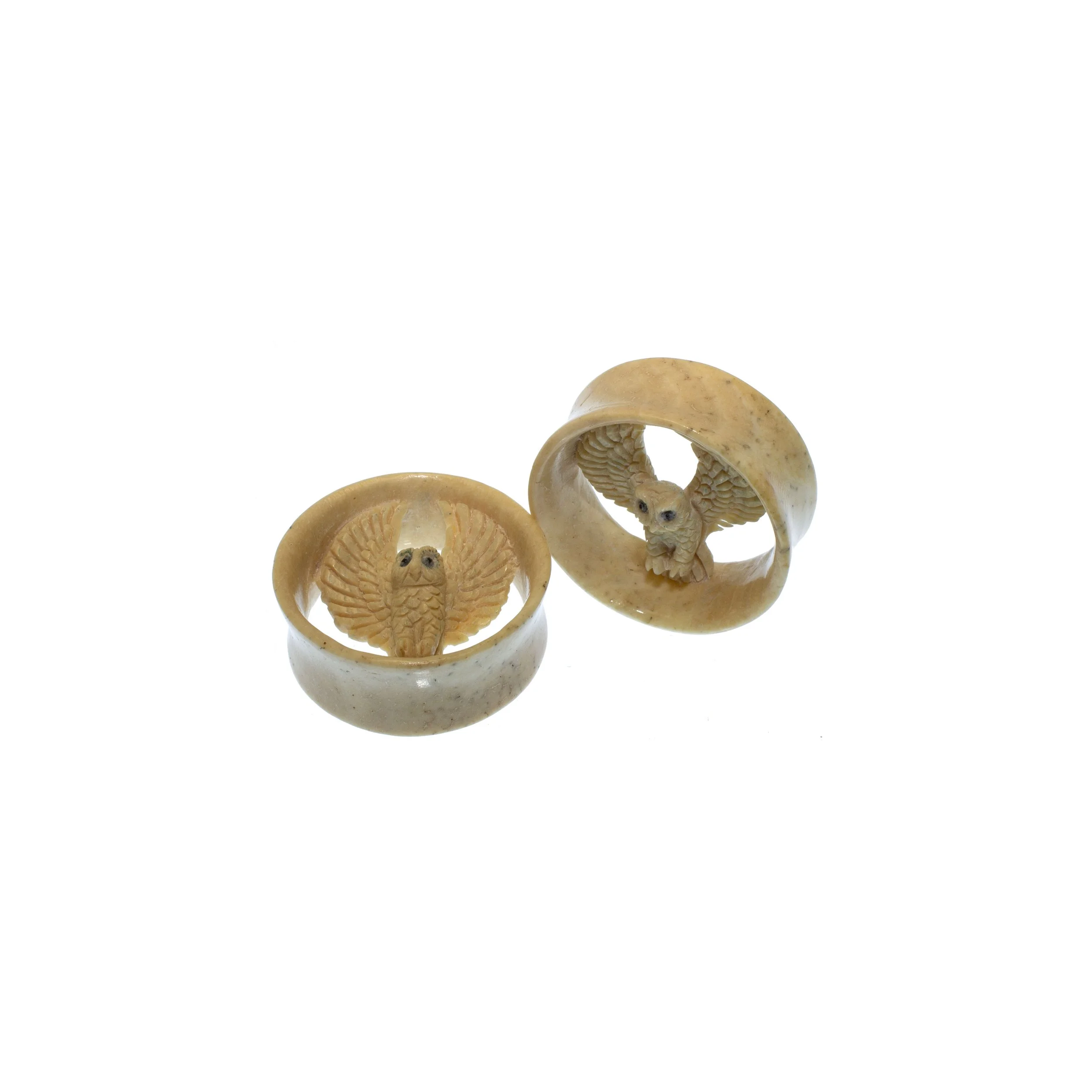 walrus-jawbone-owl-eyelets-safe-products.jpg