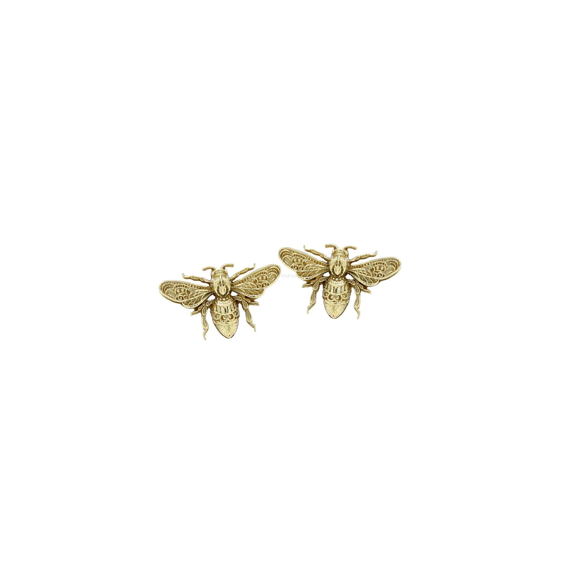 bee-end-anato.jpg