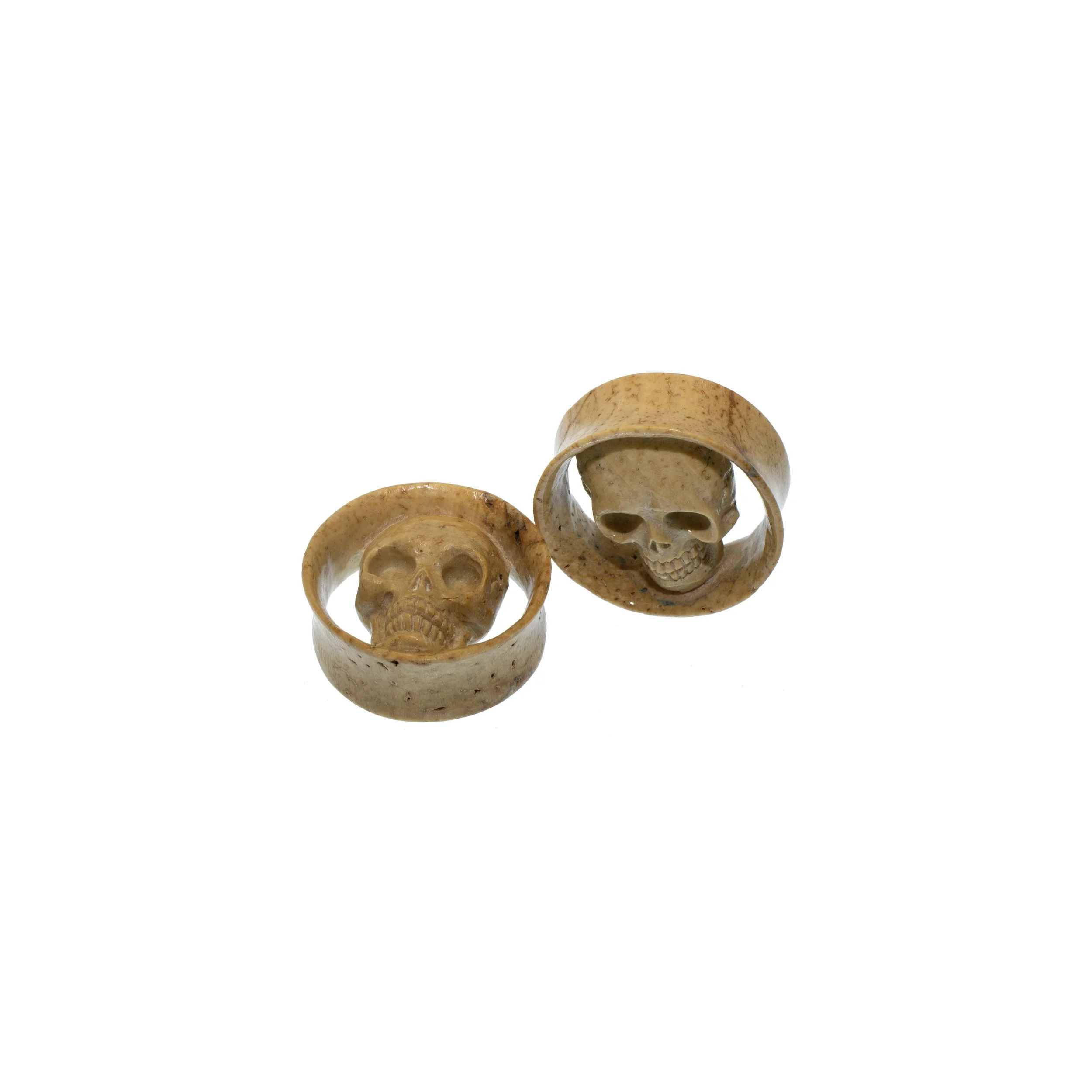 walrus-jawbone-skull-eyelets-safe-products.jpg