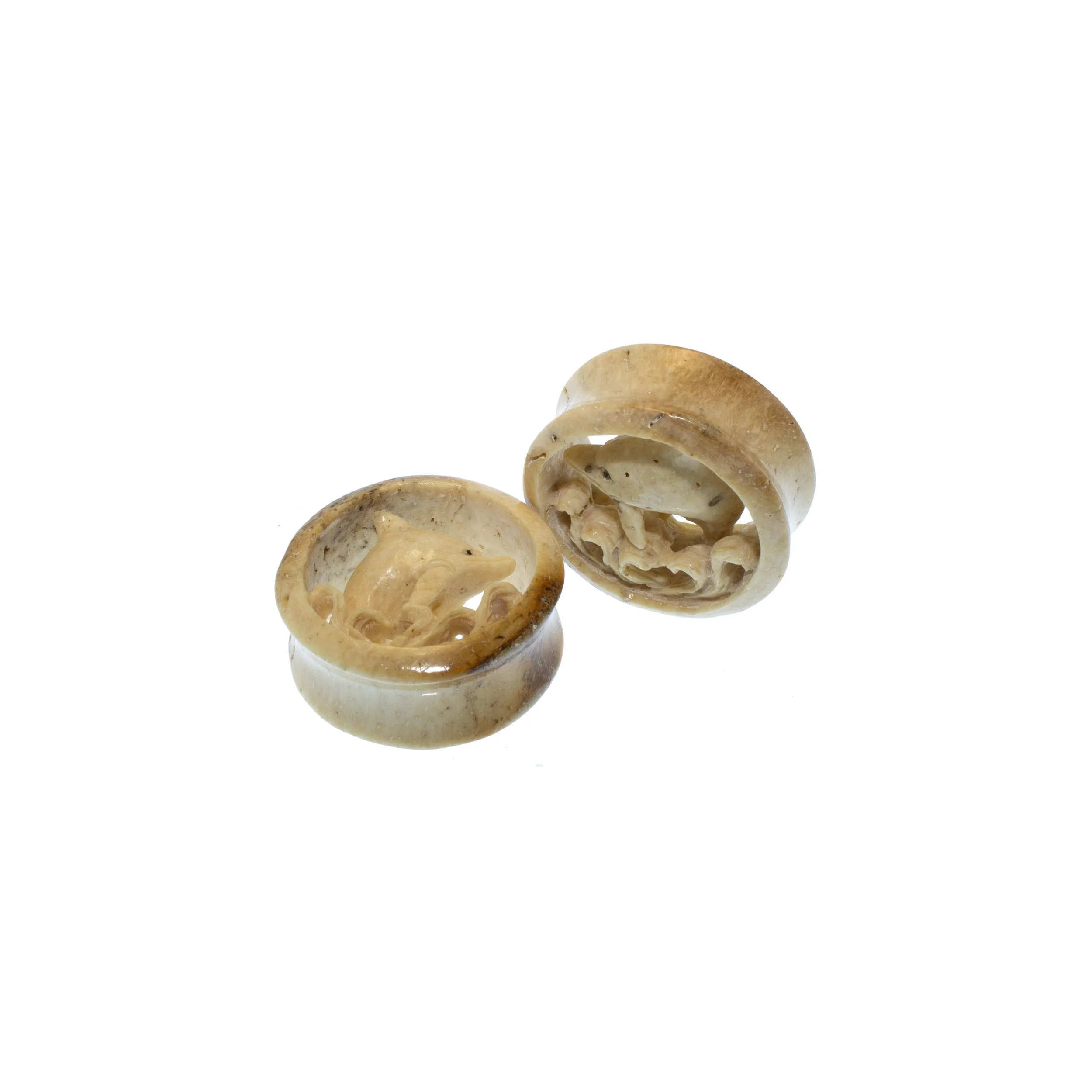 walrus-jawbone-dolphin-wave-plugs-safe-products.jpg