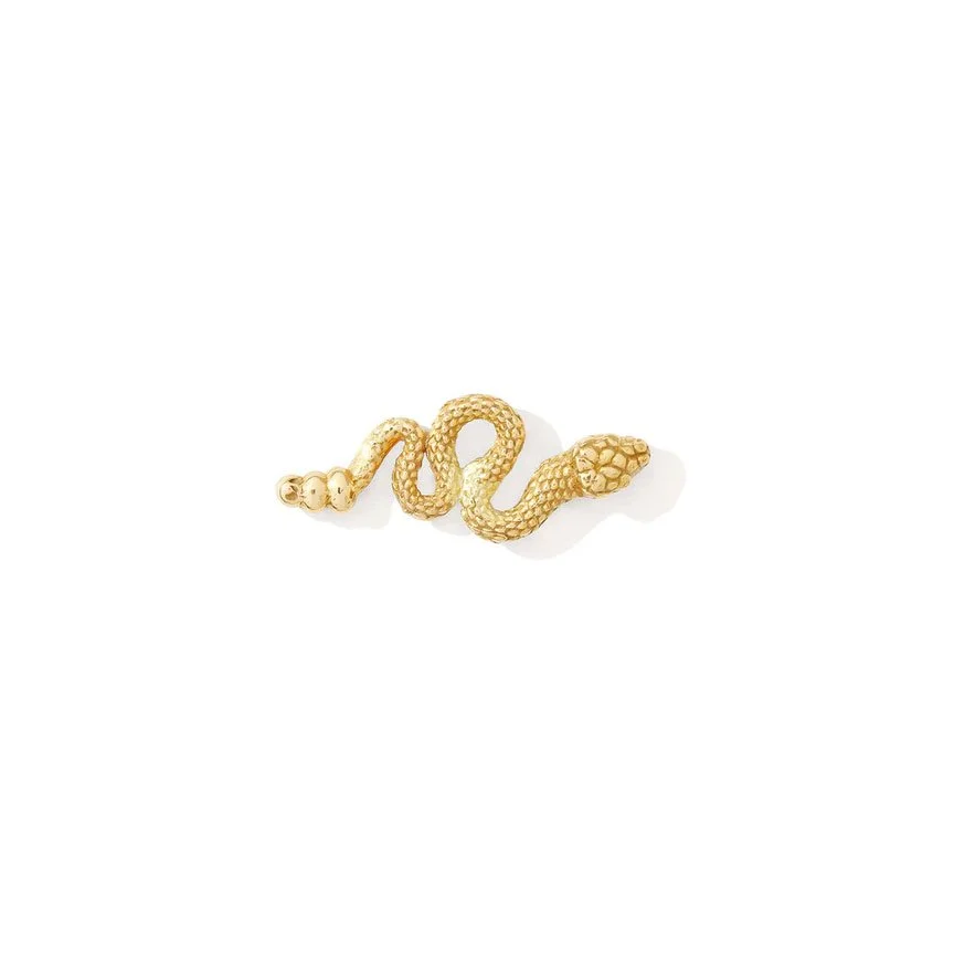 pvd-titanium-snake-end-tawapa.jpg
