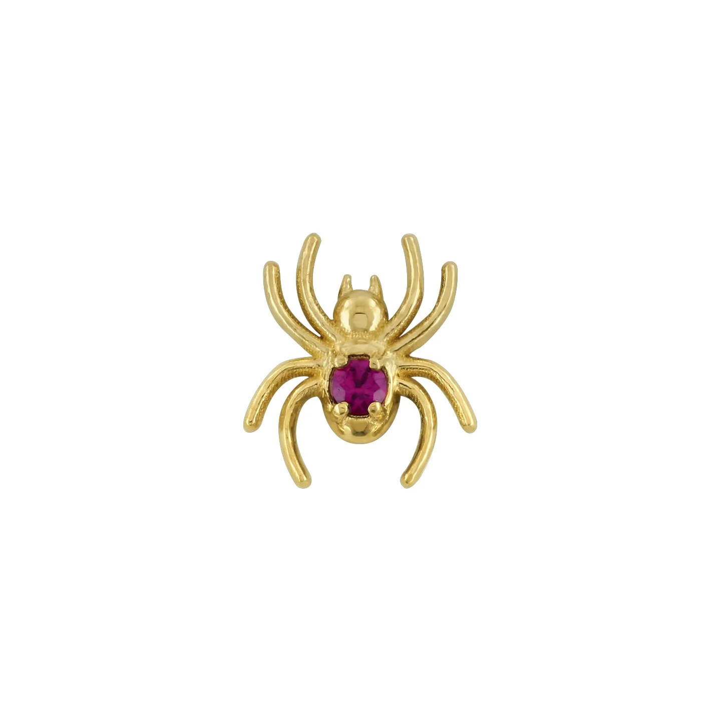 gold-gemmed-spider-end-anato.jpg