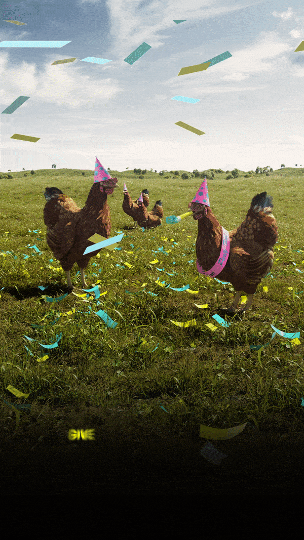 ezgif-1-a96840c7b8.gif