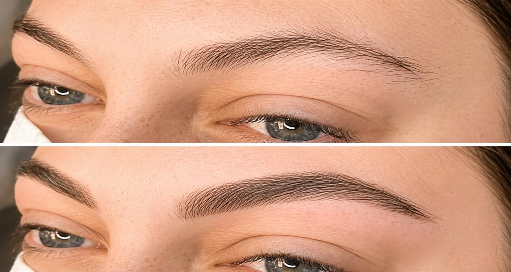 Brow Lamination vs. Powder Brows.jpg