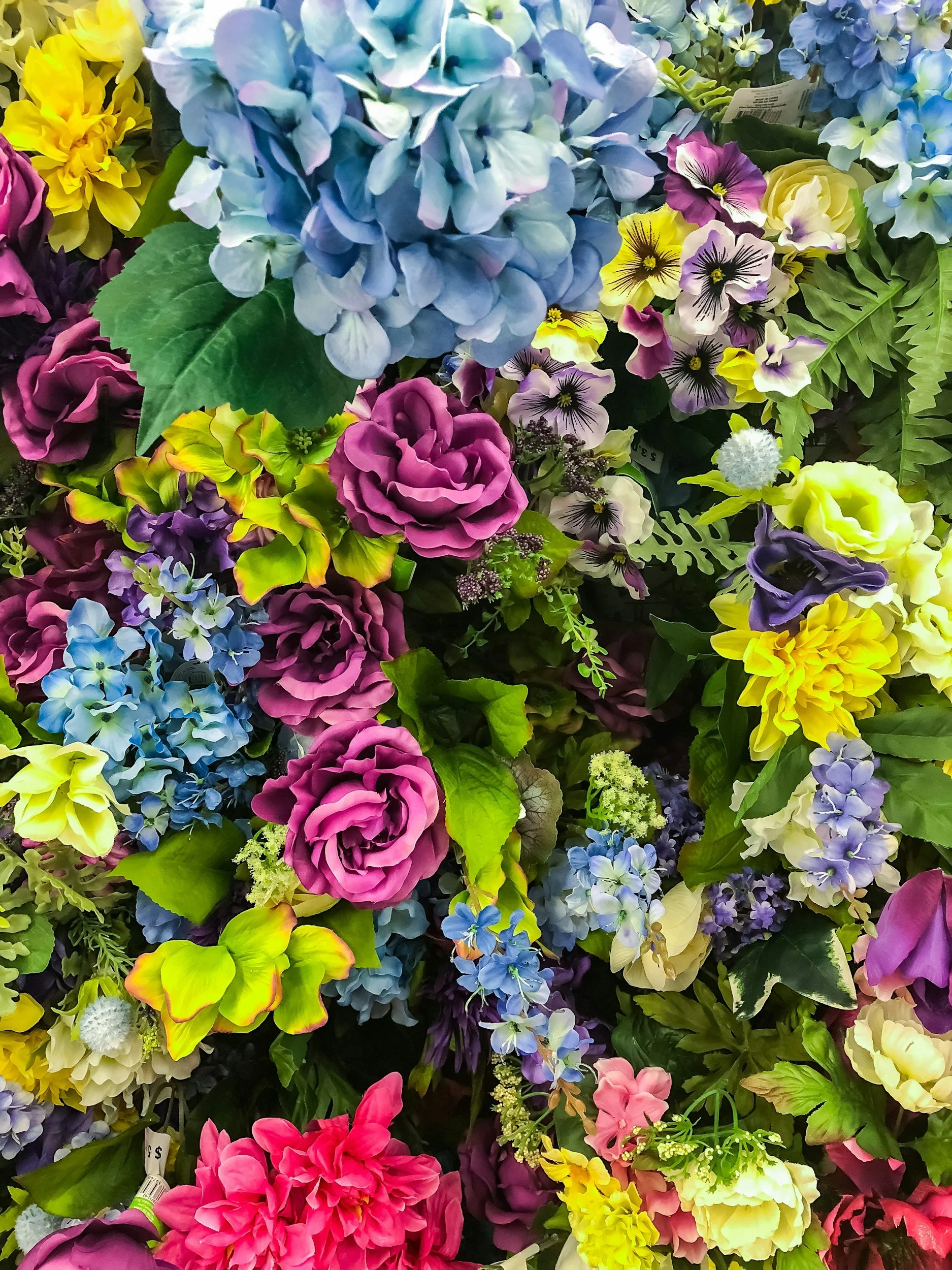 unsplash-image-P4z15DCQ8-I.jpg