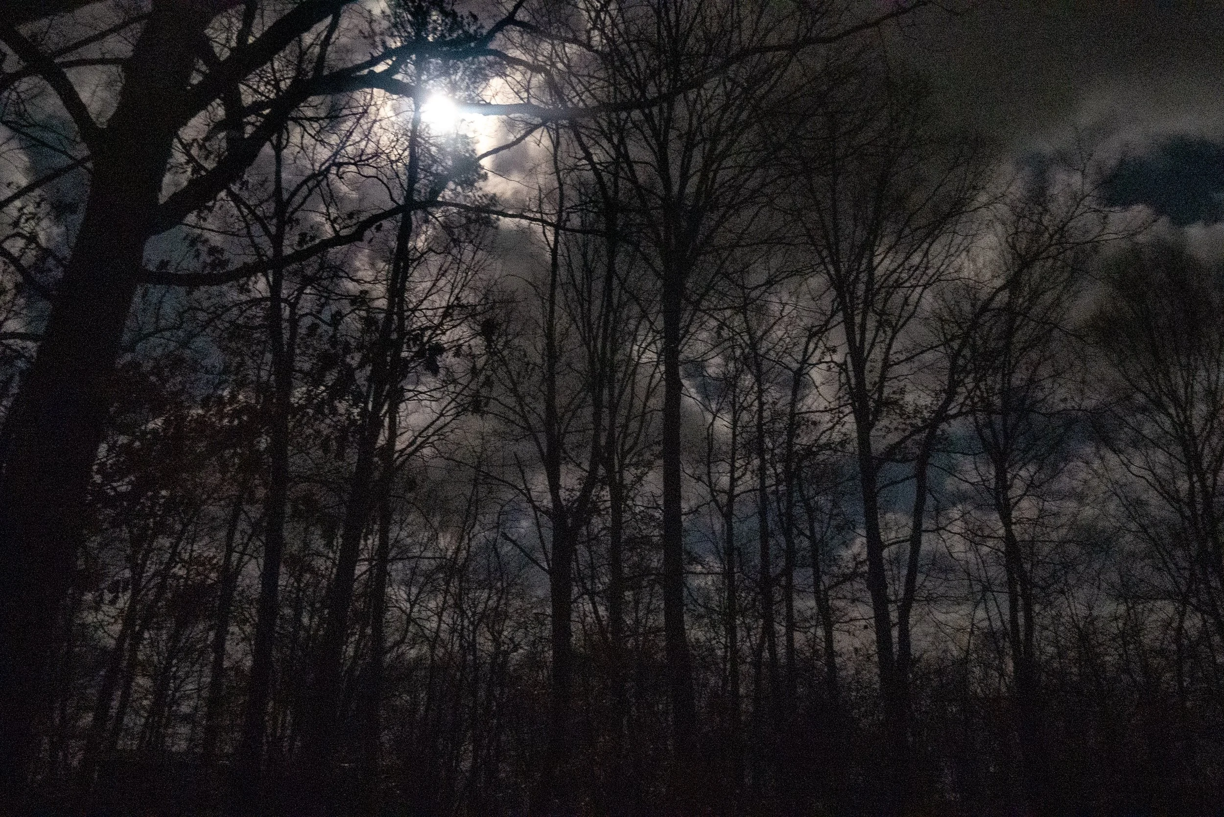 The Desires of my heart