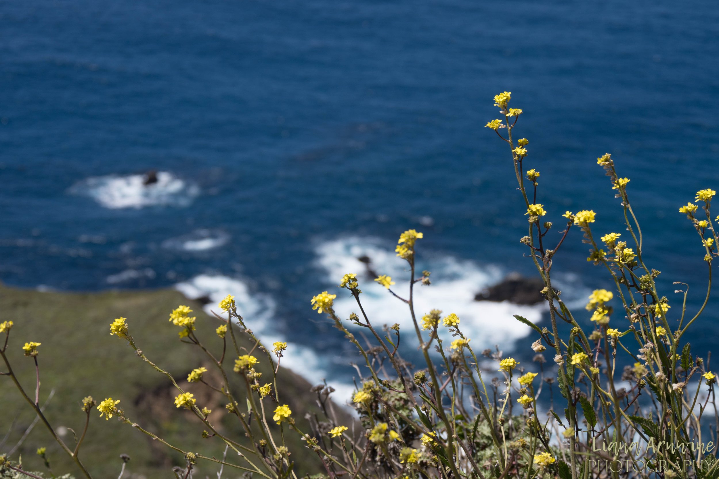 Nothing’s As It Seems