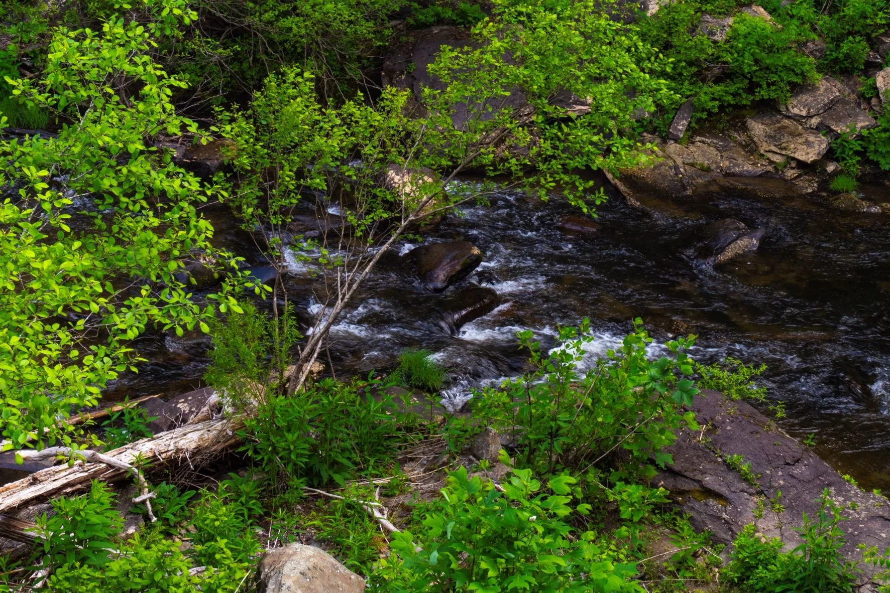 Obedience and Safety