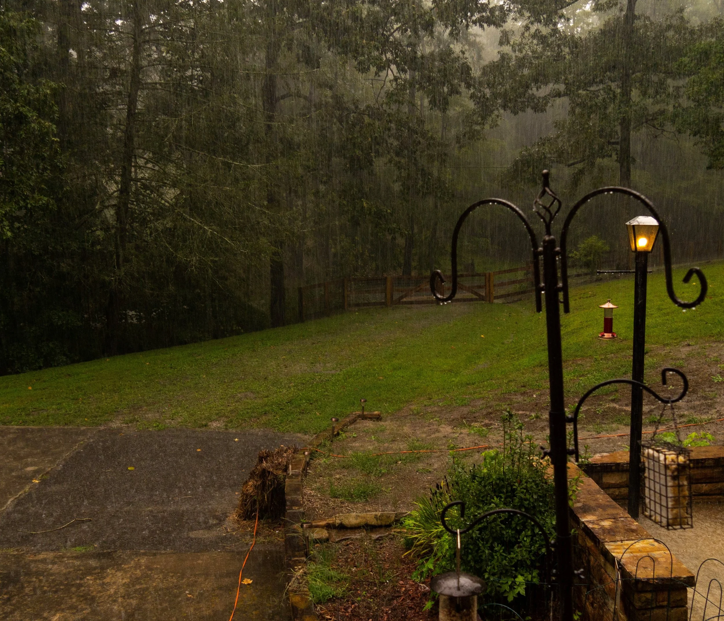 Gratitude and Patience