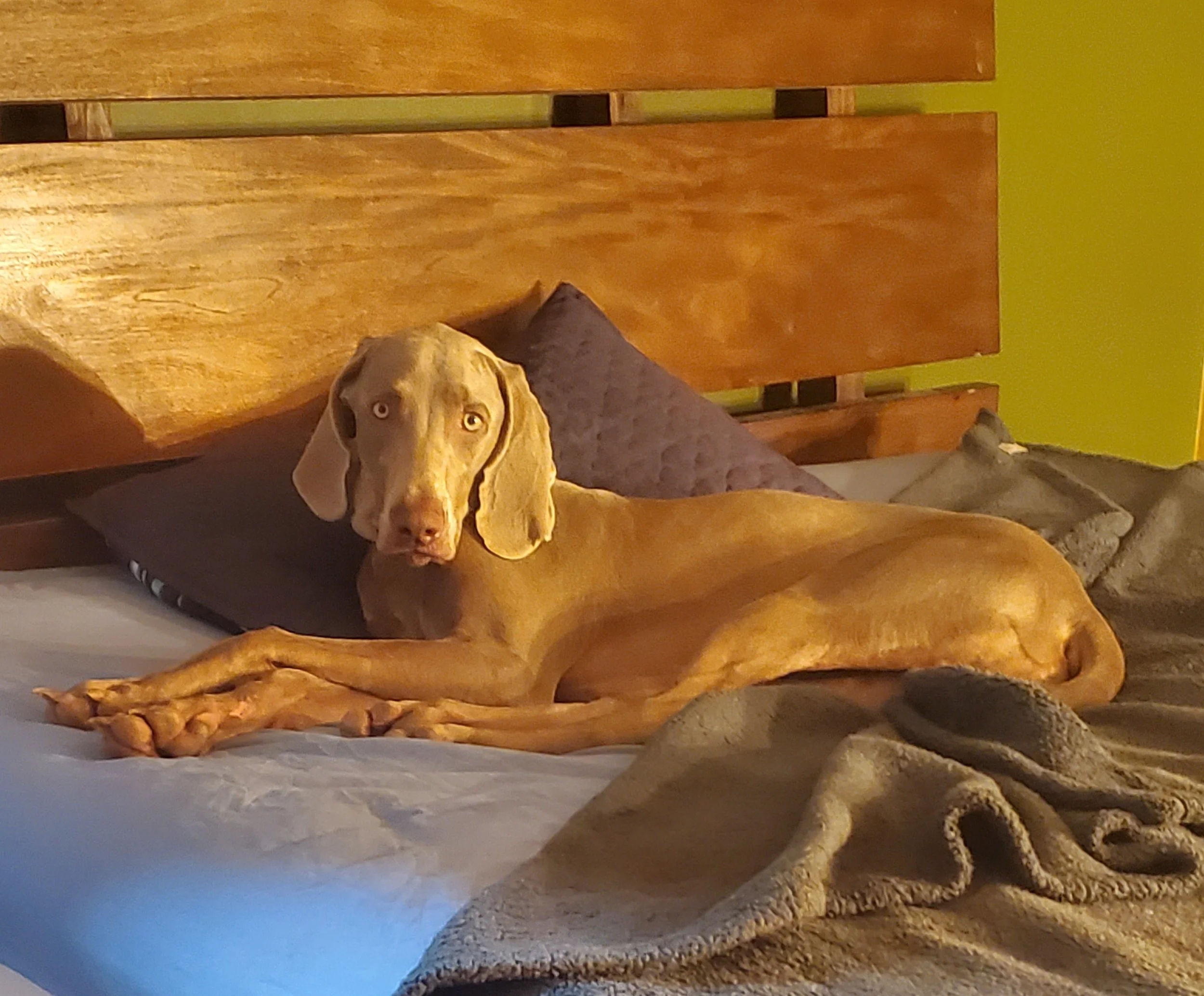 Exactly What and Who is Fair?