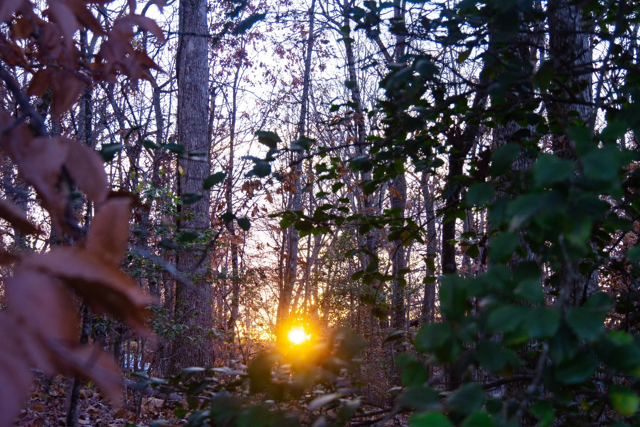 Remember the Shabbat