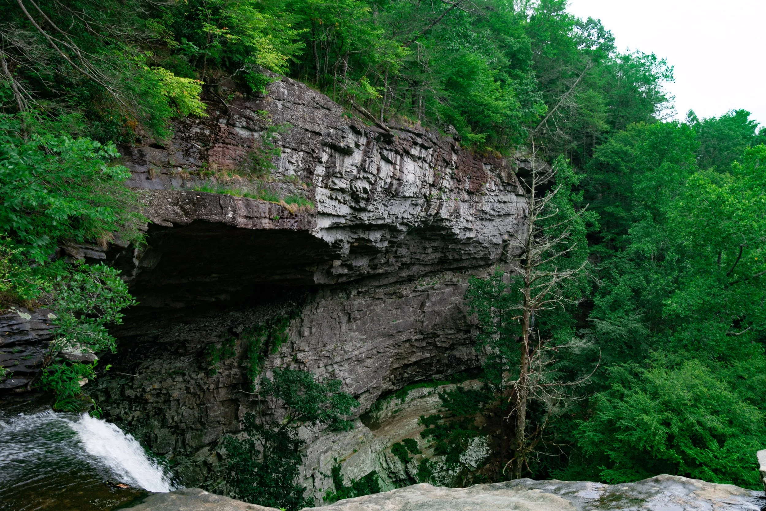 He Is Still On The Throne