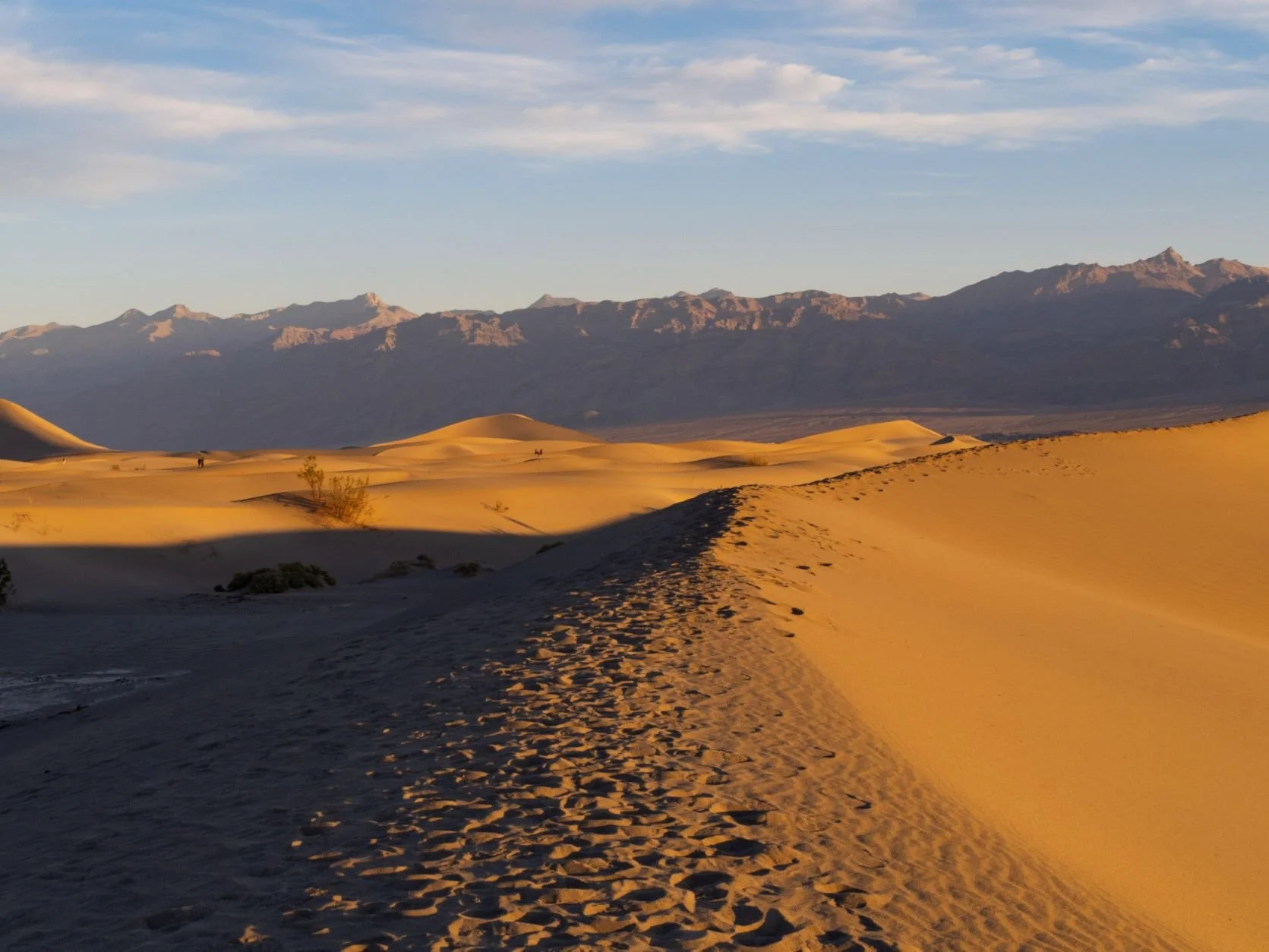 No Time for Distractions