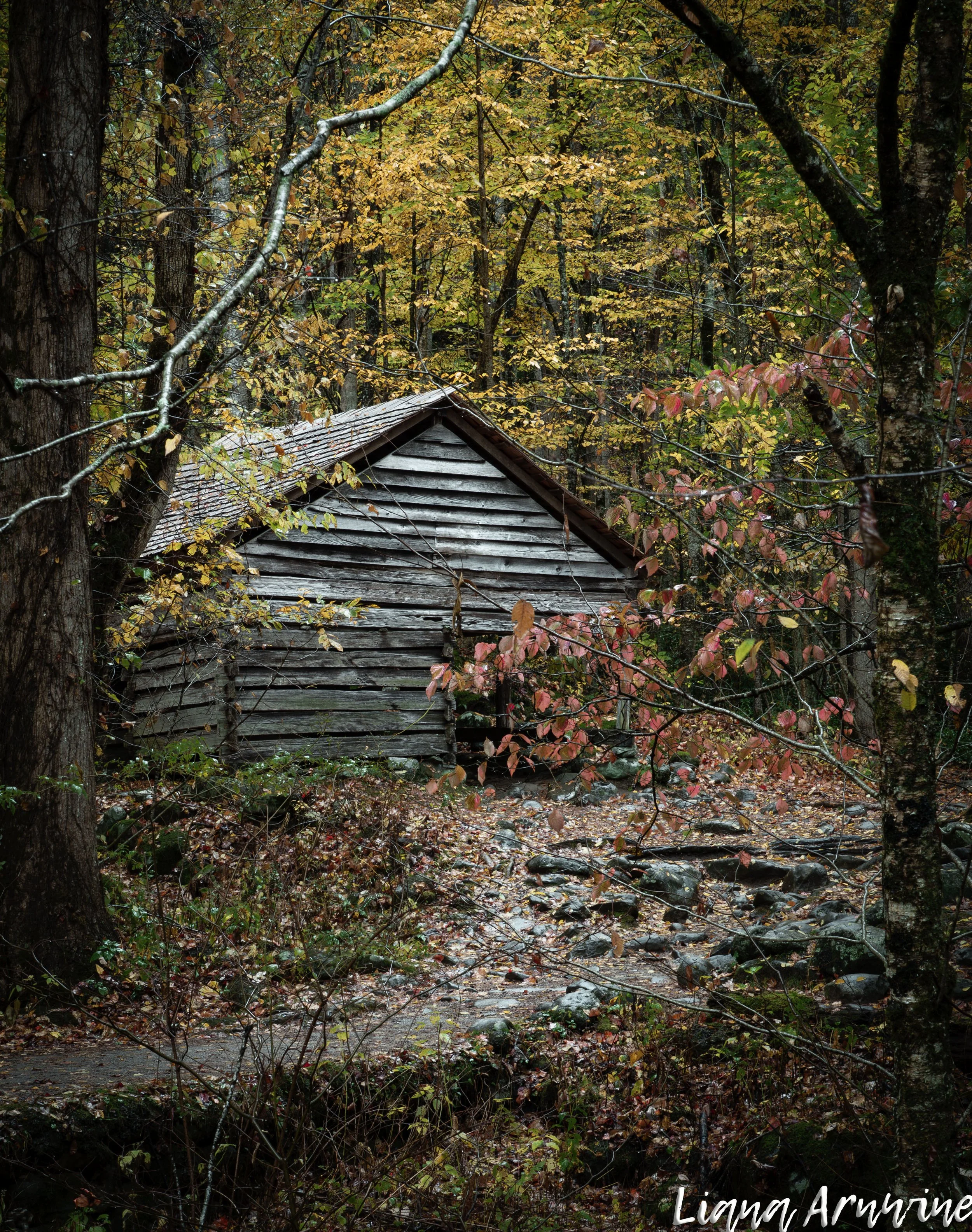 His Ways, Laws and Instruction