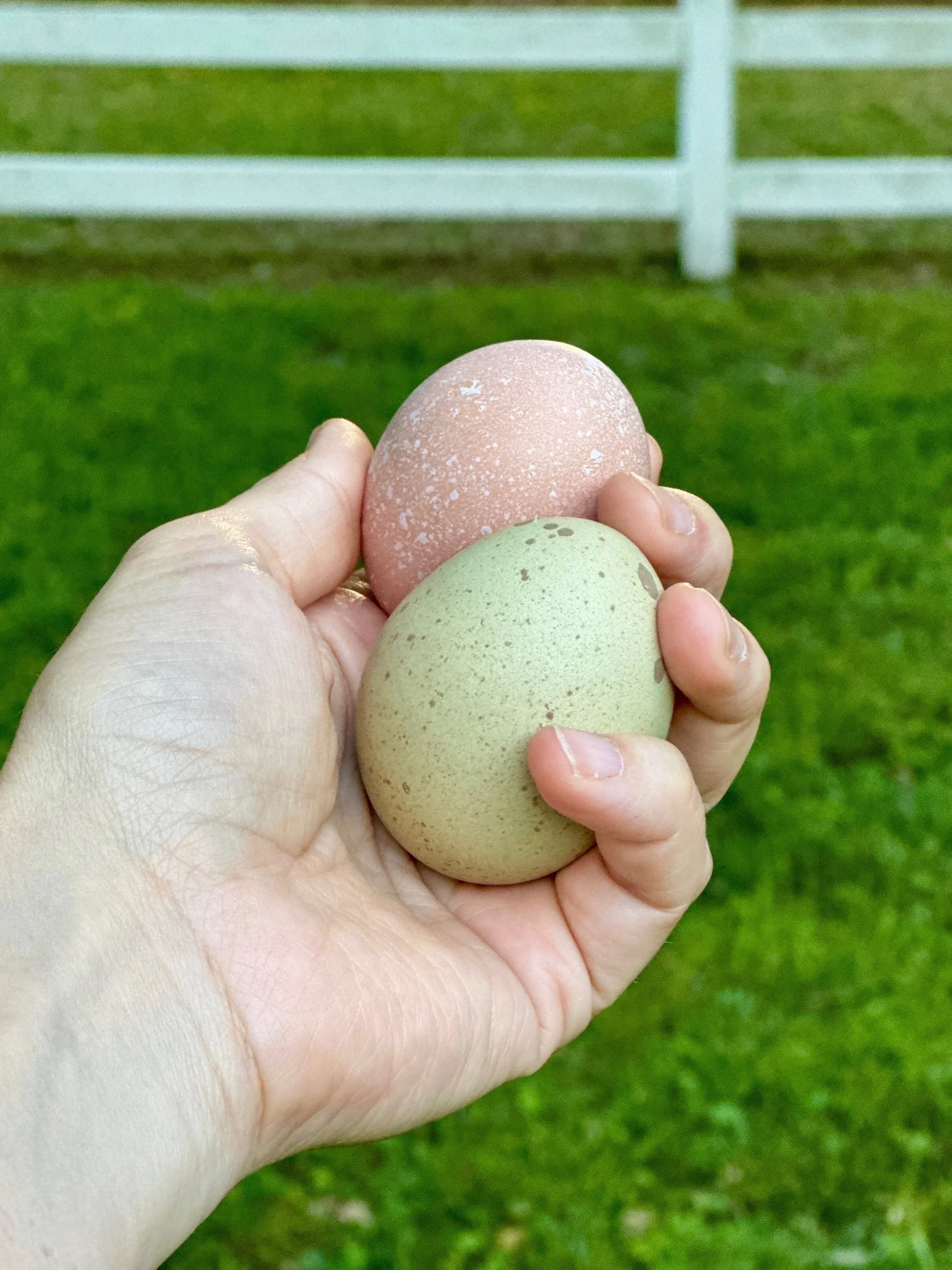 18-pack of eggs