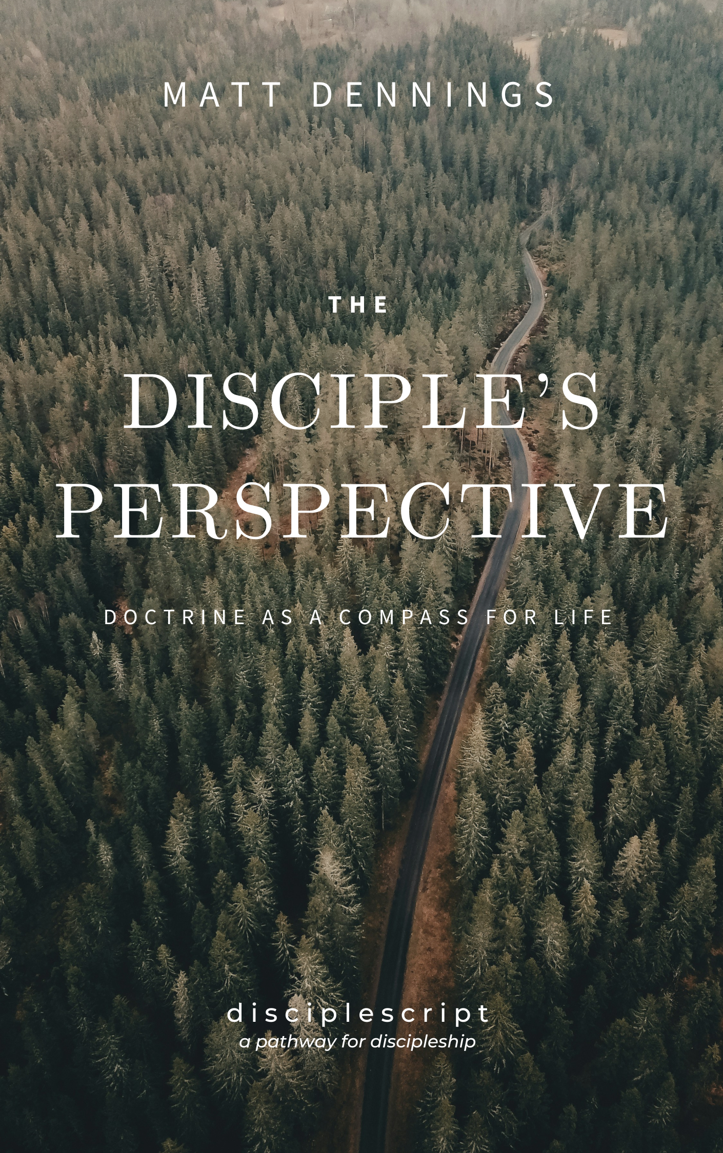 Disciple's Perspective.png