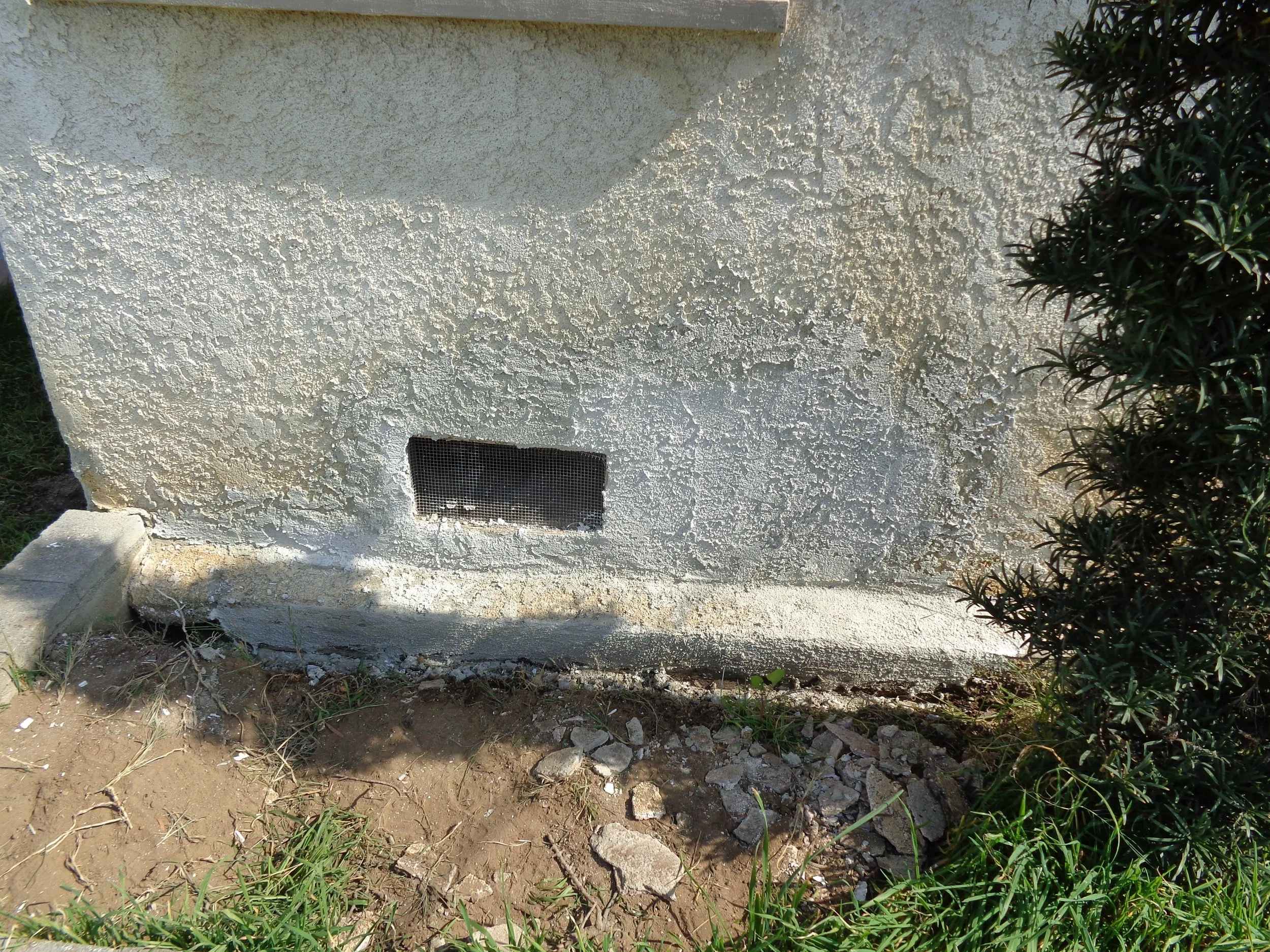 Exterior painting - repairing damages