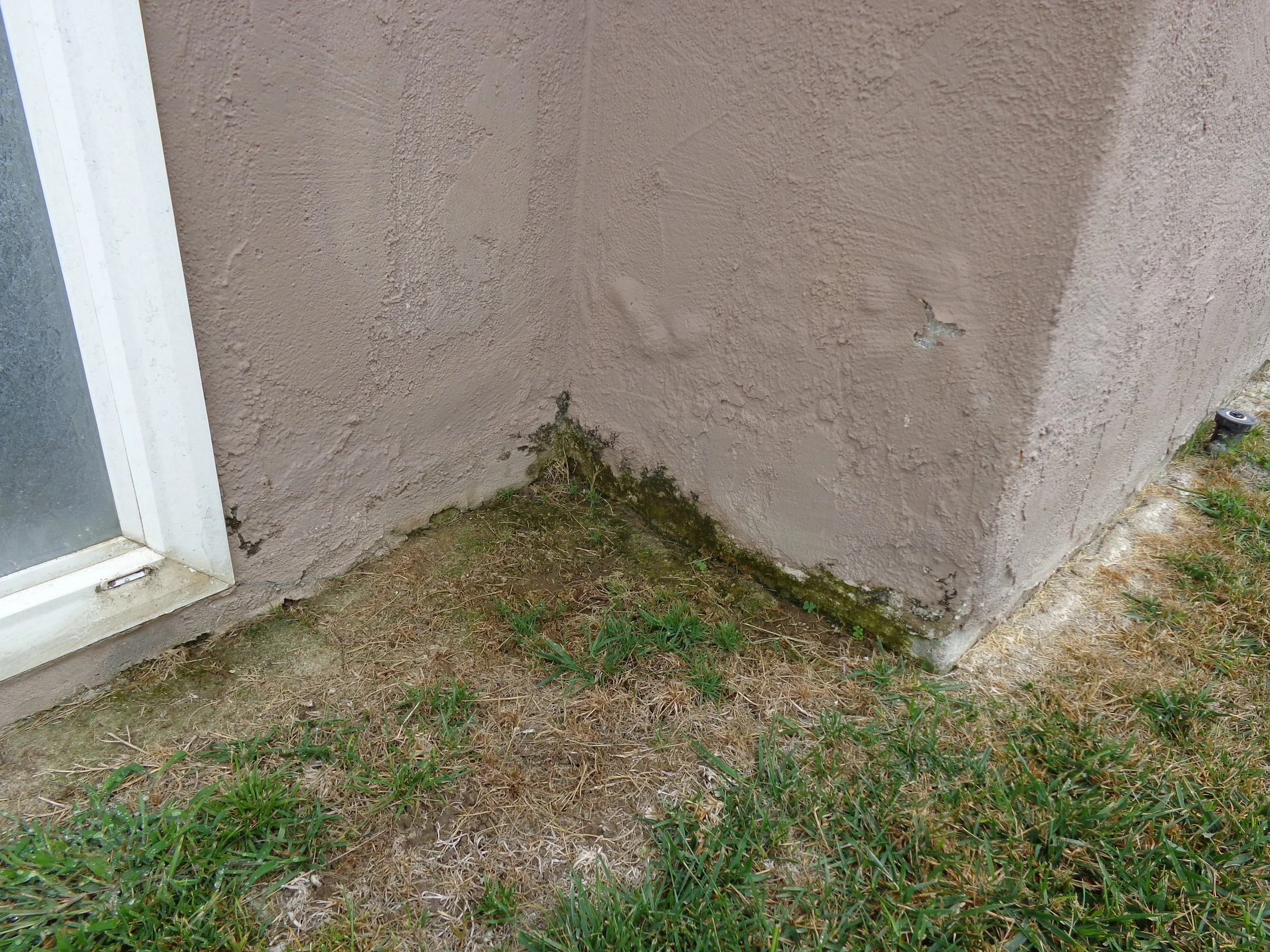Free inspection for stucco repair